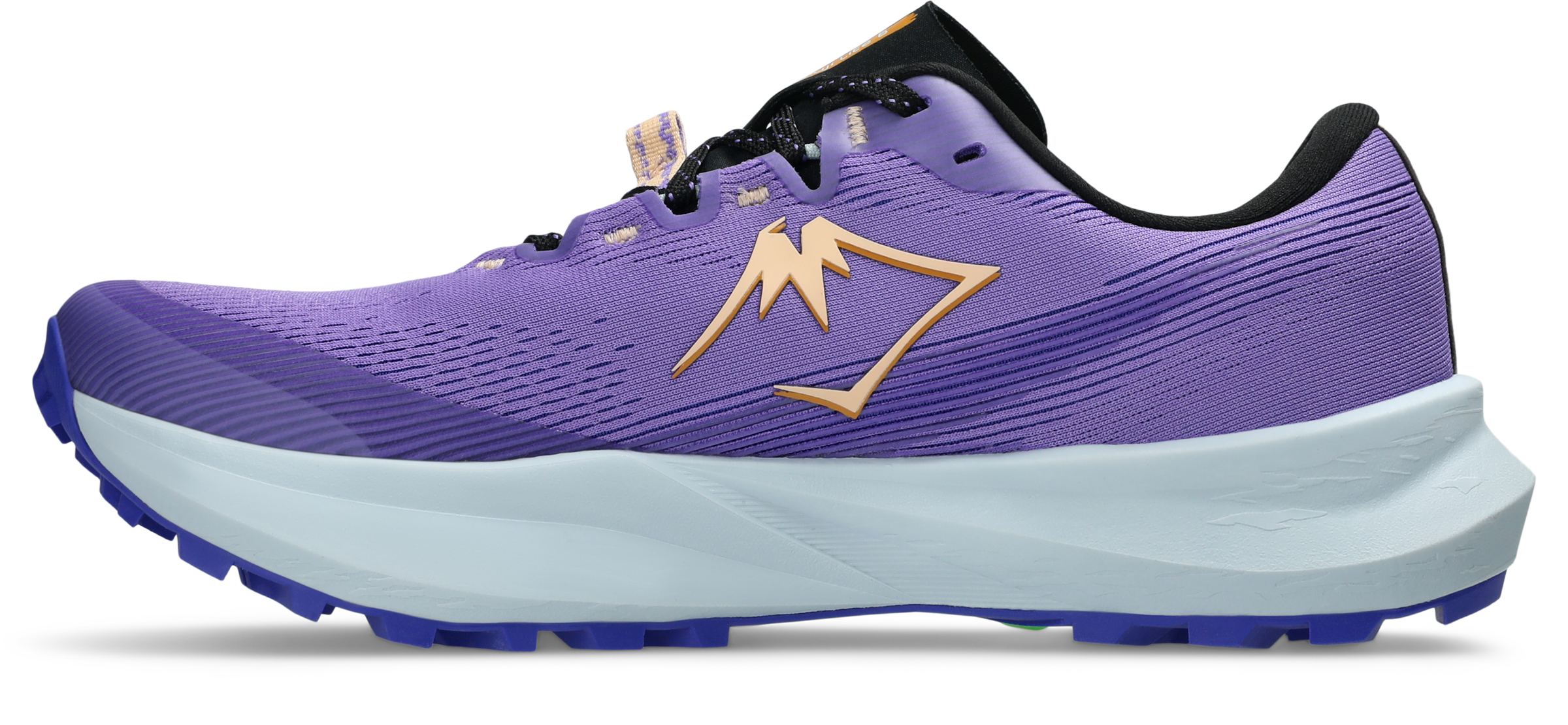 Asics Trailrunningschuh »FUJI LITE 6«  Trailrunning-Schuhe für leichte Trails