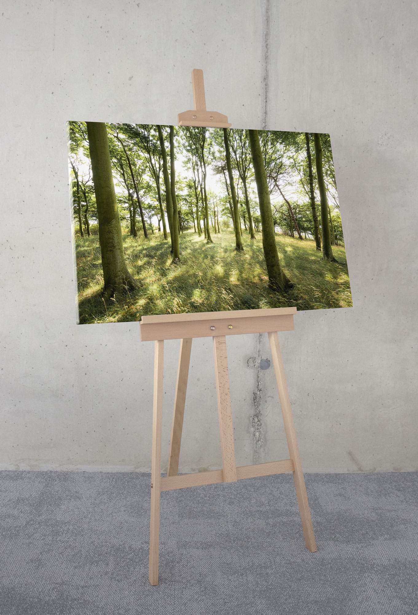 Komar Leinwandbild "Dänische Buchen - Größe 90 x 60 cm" Baum  Berge  Blätte günstig online kaufen