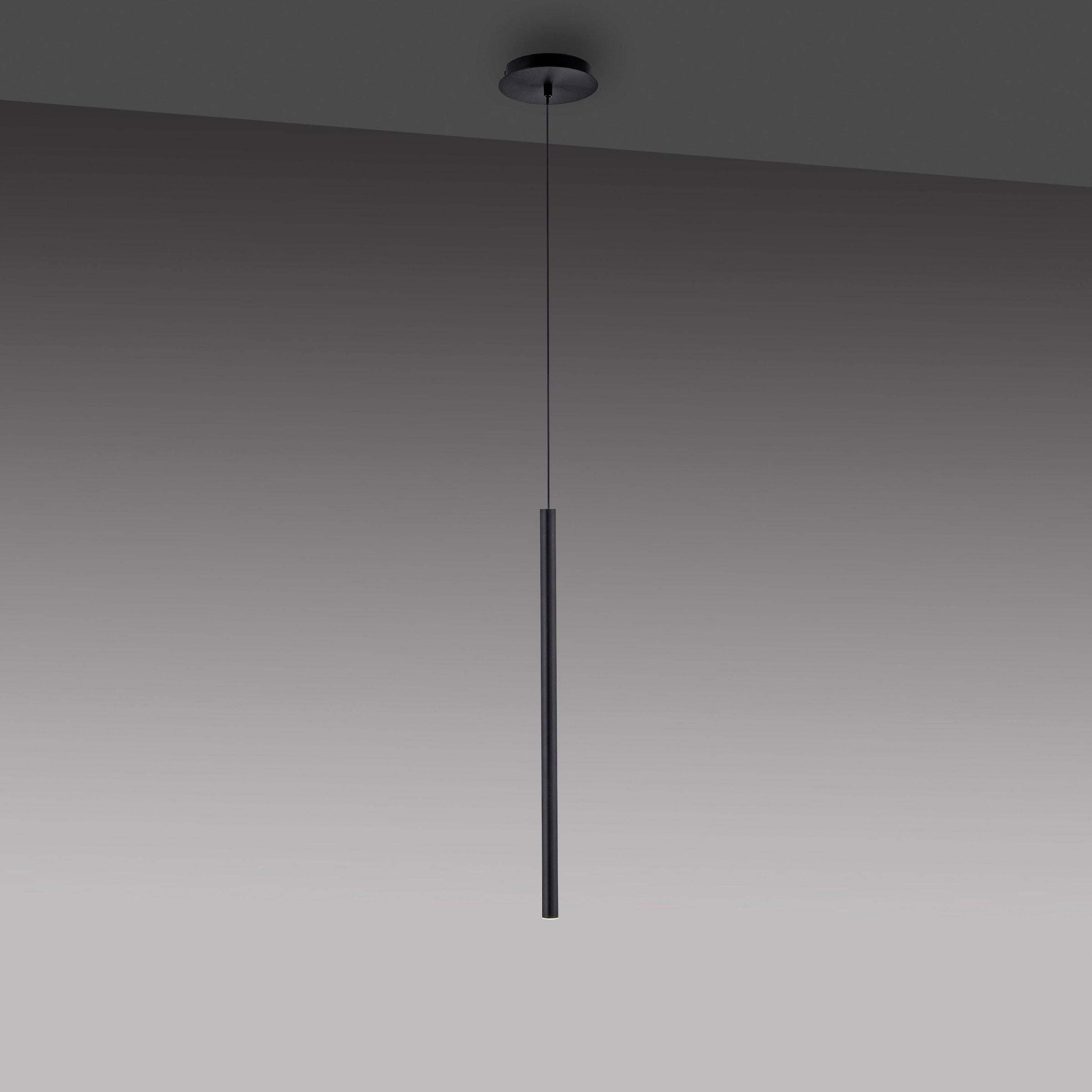 Paul Neuhaus Pendelleuchte »FLUTE« LED-Board 1 Stk. Warmweiß