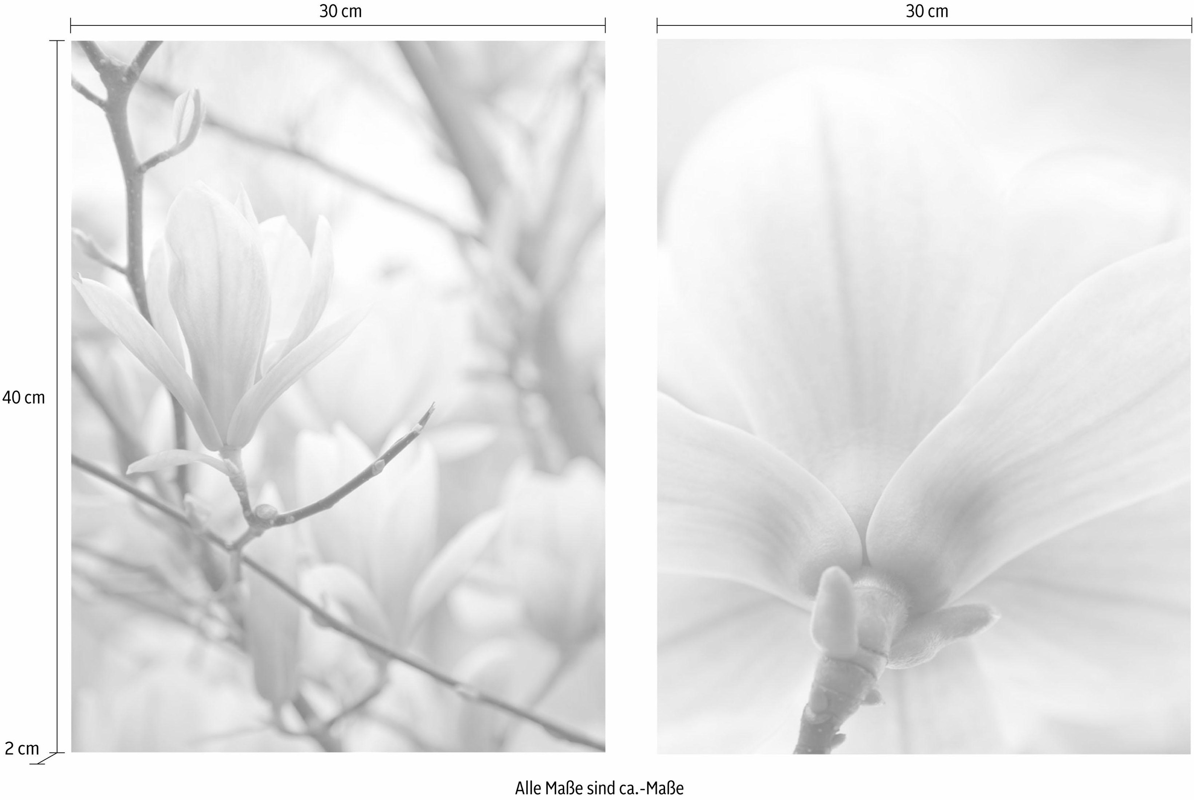 Creativ home Bild »Magnolien«, (Set, 2 St.), 2er Set