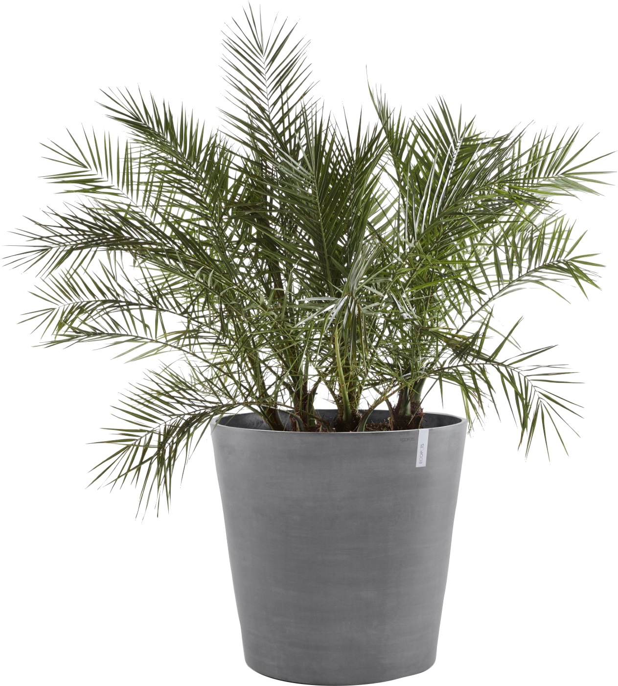 ECOPOTS Blumentopf "AMSTERDAM WHEELS Grey", BxTxH: 60x60x56 cm günstig online kaufen