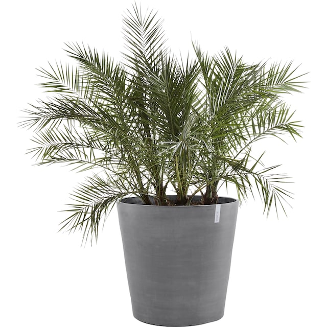 ECOPOTS Blumentopf »AMSTERDAM WHEELS Grey«, BxTxH: 60x60x56 cm bestellen |  BAUR