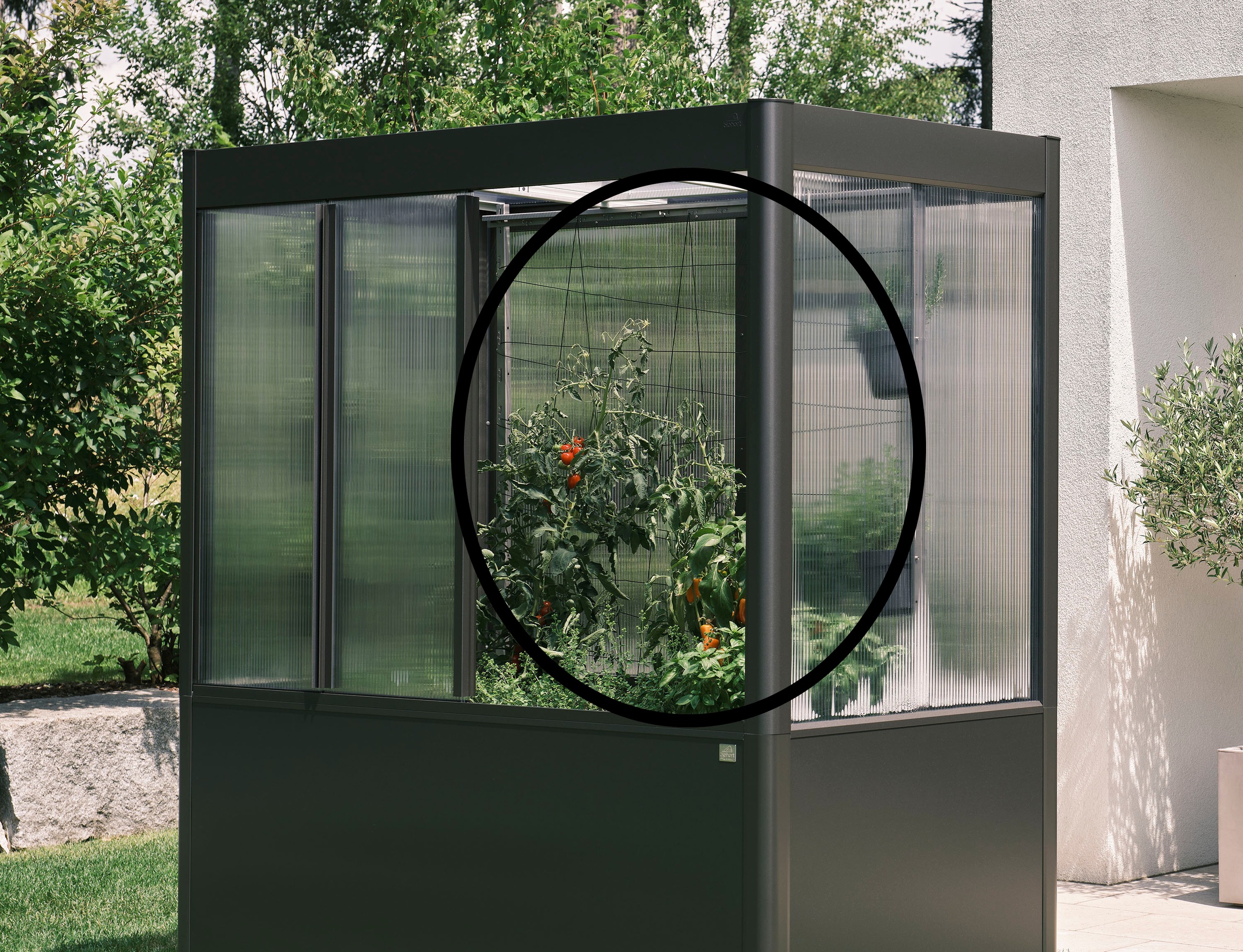 Rankhilfe BIOHORT, B:150,8cm H:150,8cm T:4,2cmsilber, Stahl, Rankhilfen, "für Gewächshaus und/oder Gewächshausaufsatz", passend für Florentina 2x0,5