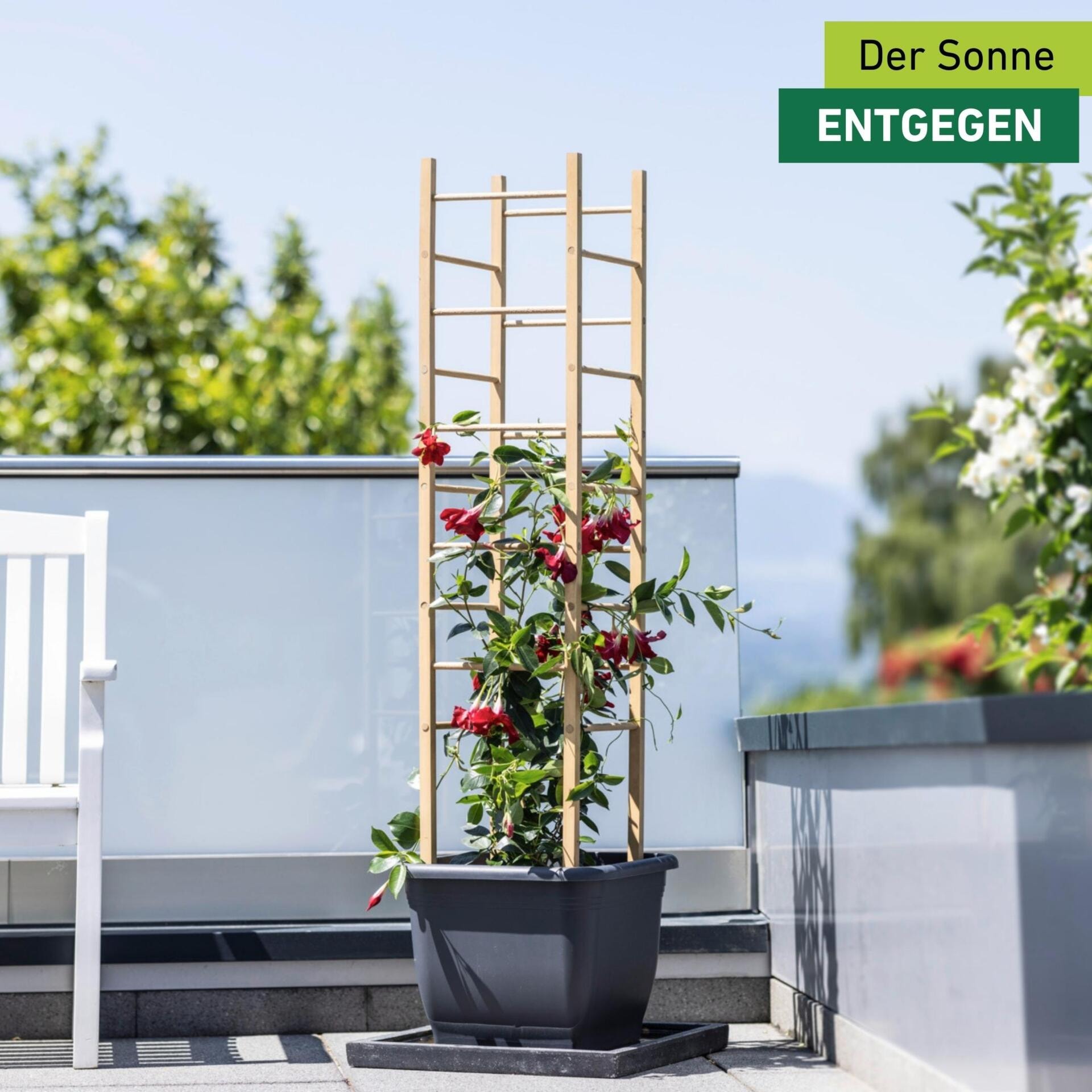 Windhager Rankgitter »Holz-Rankturm für Blumen und Gemüsepflanzen« Kletterhilfe für den Garten, 29 x 29 x 145 cm