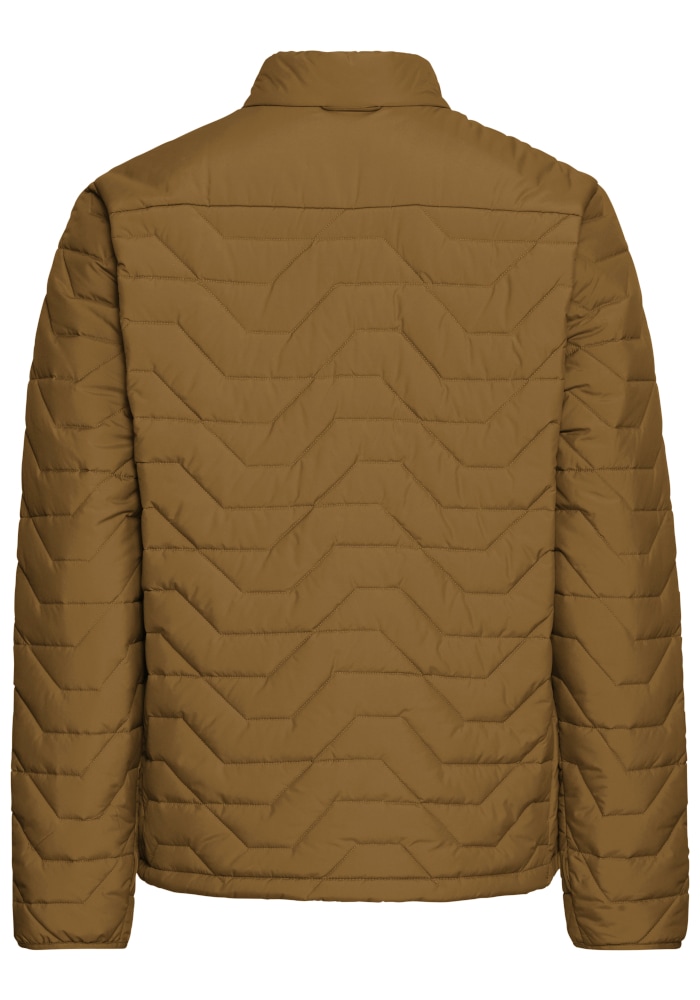 Jack Wolfskin Winterjacke »FLEXTREK INS JKT M« Winterjacke, warm, wind- und wasserabweisend