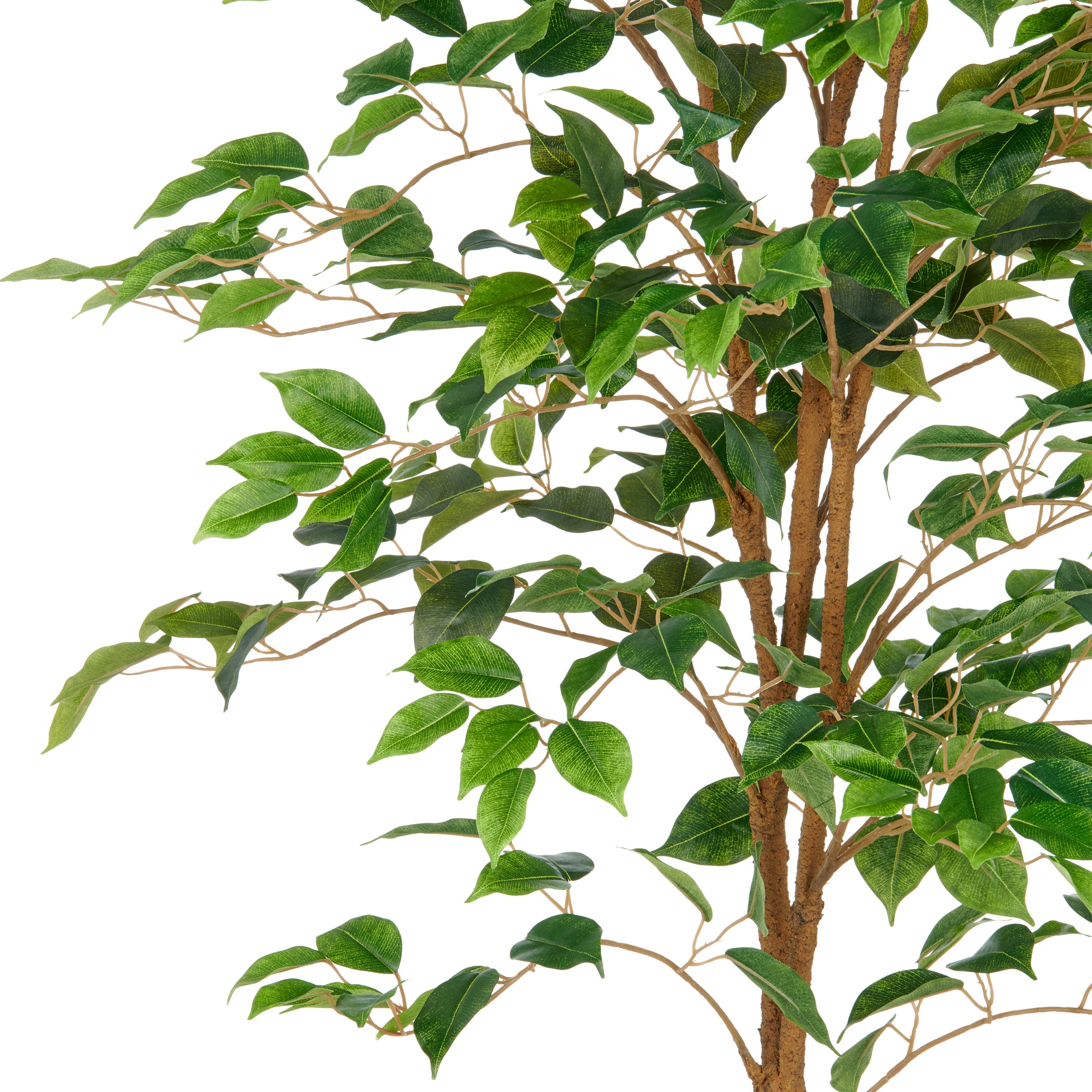 Creativ green Kunstbaum »Ficus Benjamina«, mit naturgetreuem Blattwerk und Stamm