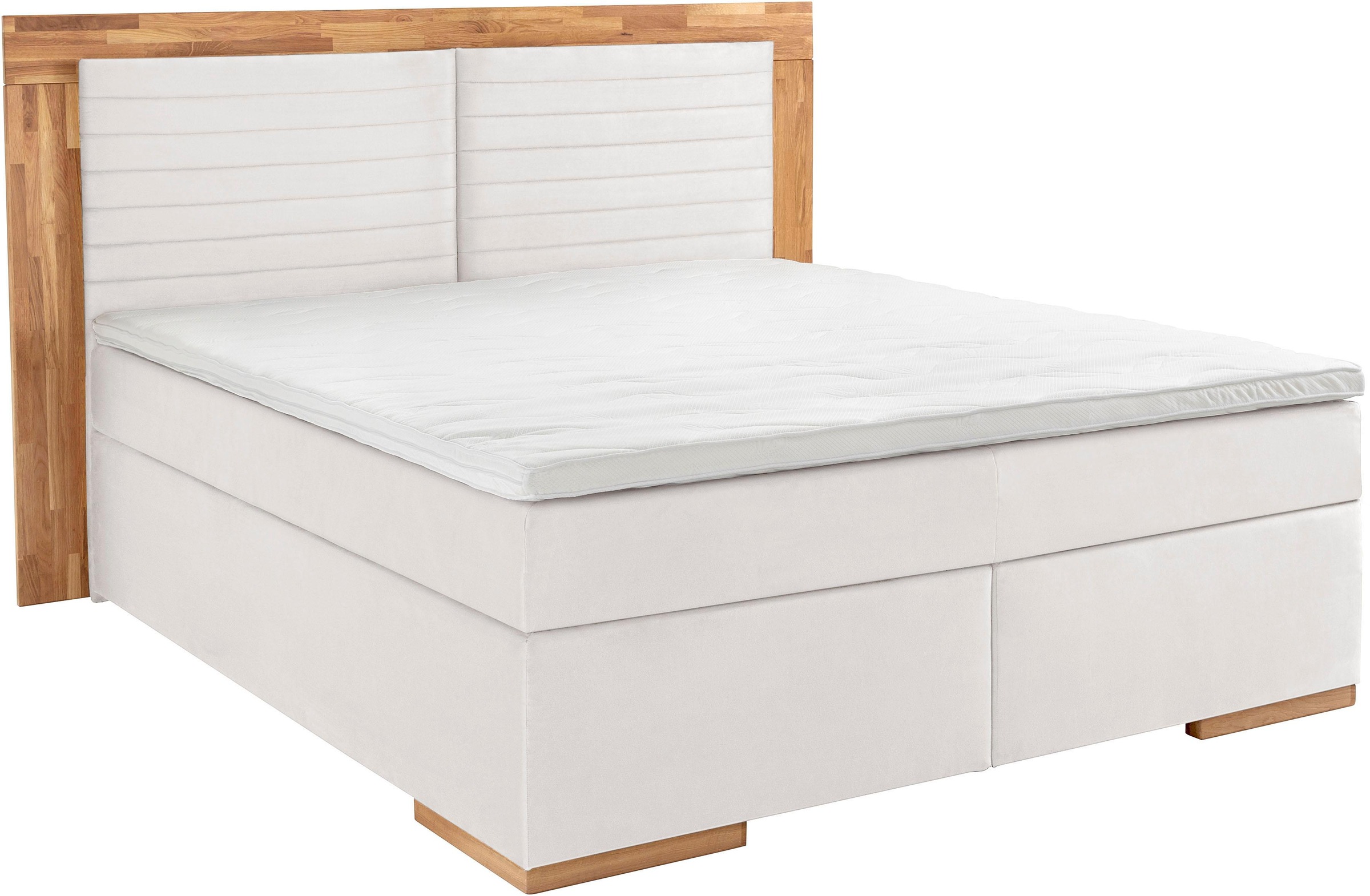 Home affaire Boxspringbett "Cup" mit LED-Beleuchtung, Massivholzrahmen und günstig online kaufen