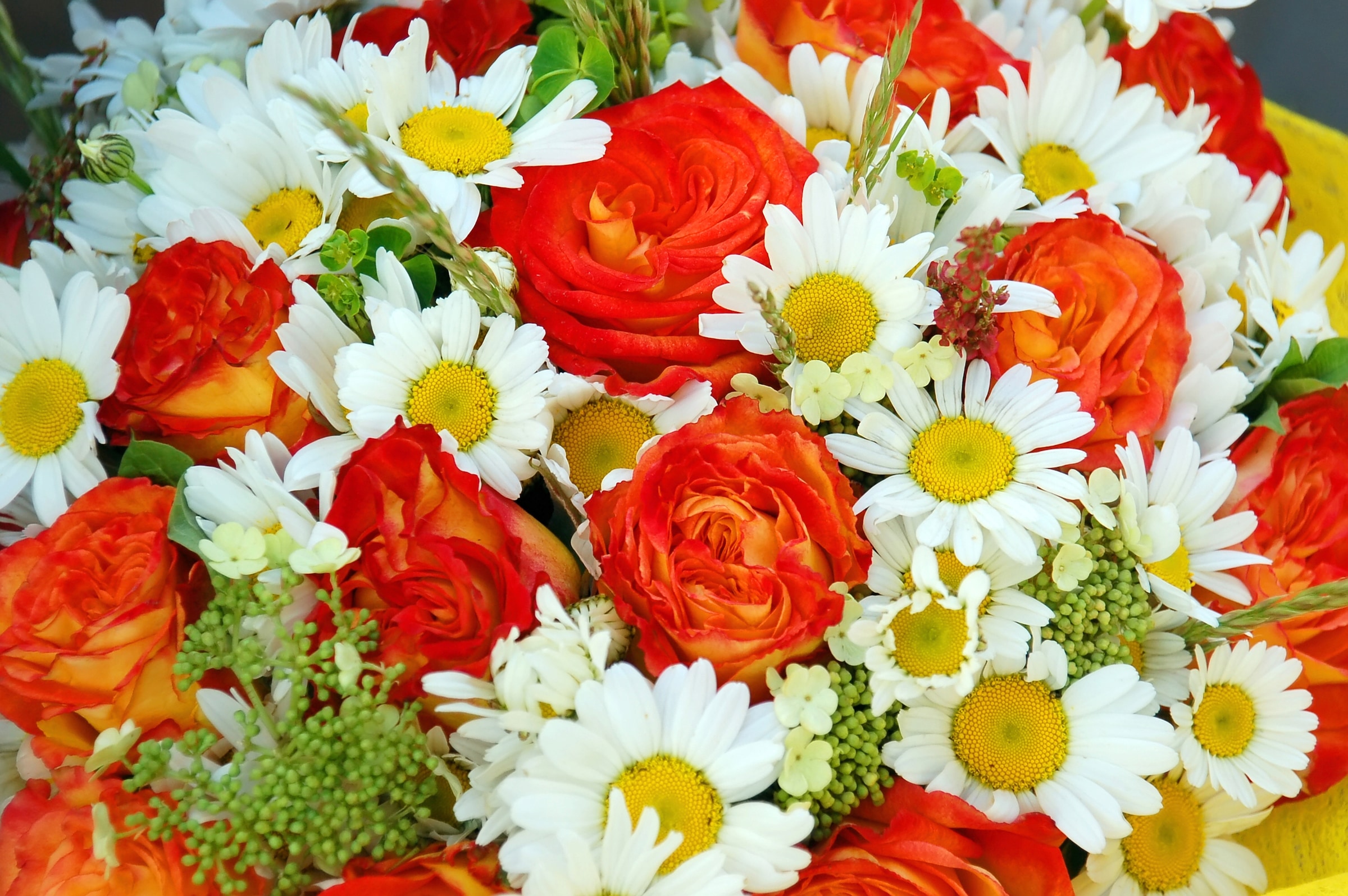 Papermoon Fototapete "BLUMEN-STRAUß-ROSEN GÄNSEBLÜMCHEN PFLANZEN ORCHIDEEN"