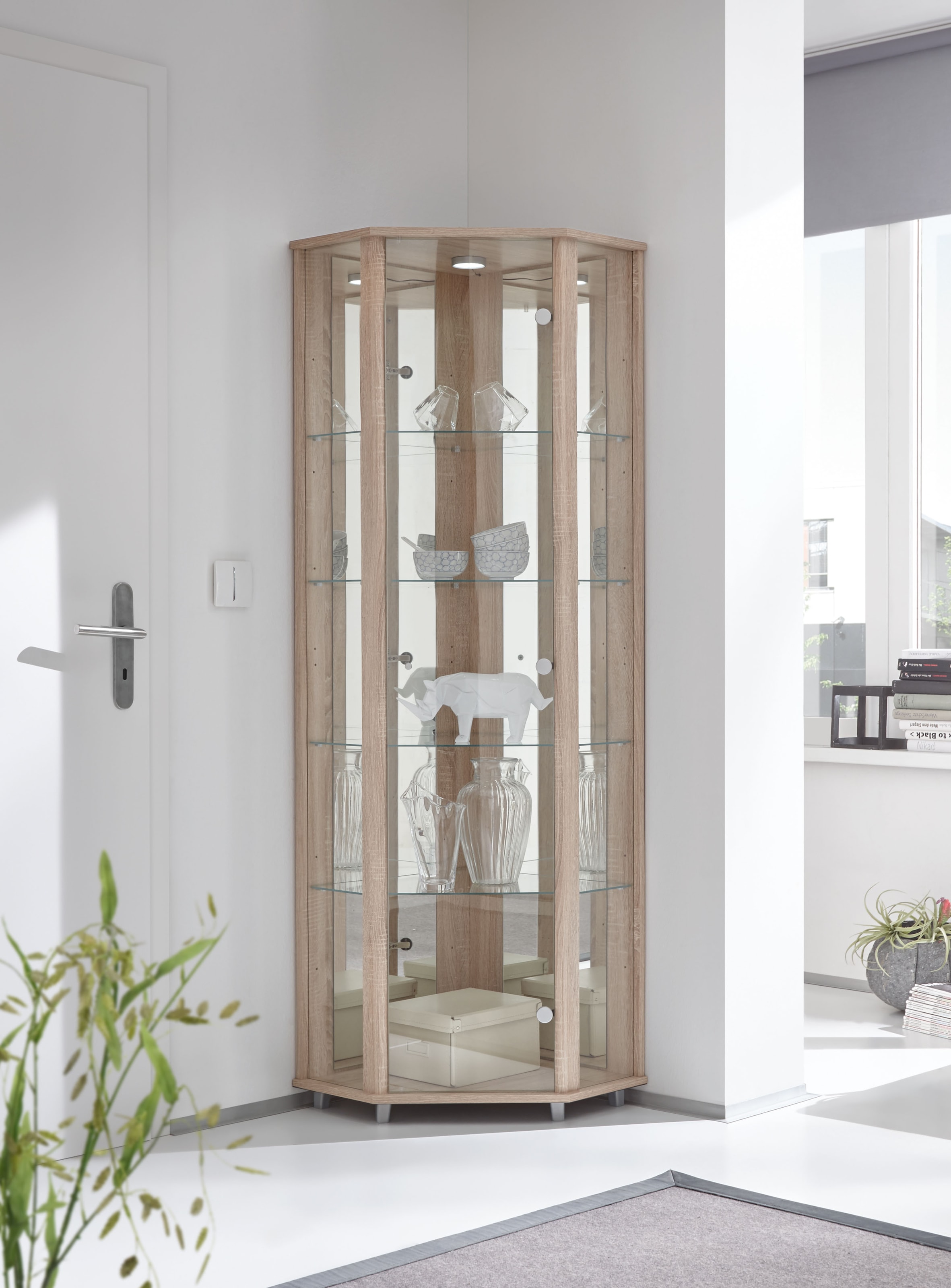 fif möbel Eckvitrine »TRIO Höhe ca. 172 cm, ink. Beleuchtung«, Eckvitrine/Glasvitrine 1x Glastür, perfekt für Sammler, Sammlervitrine