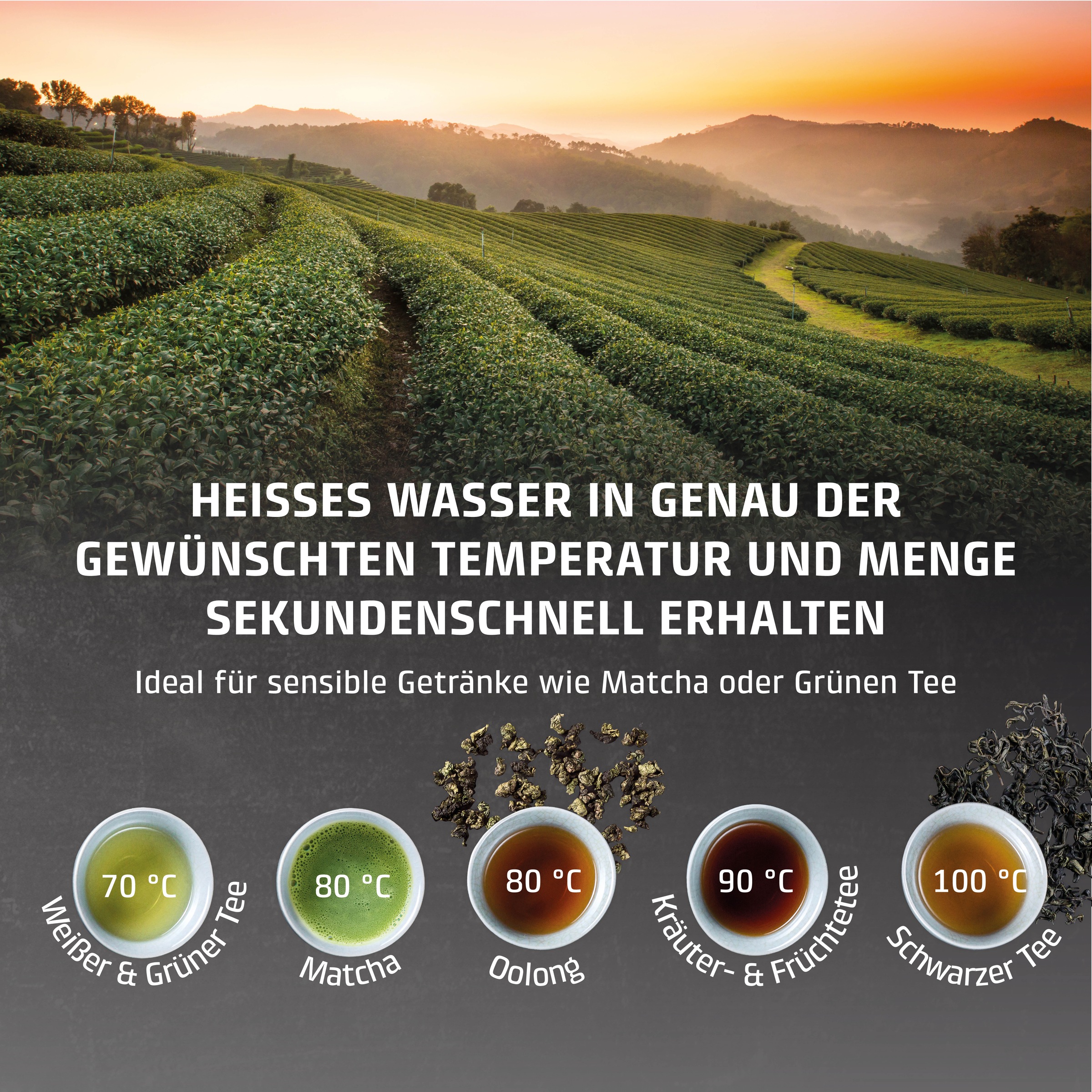 Caso Heißwasserspender »1985 HW 610« 2,5 l 2600 W inkl. Wasserfilter, mit Trockenlauf- und Überhitzungsschutz