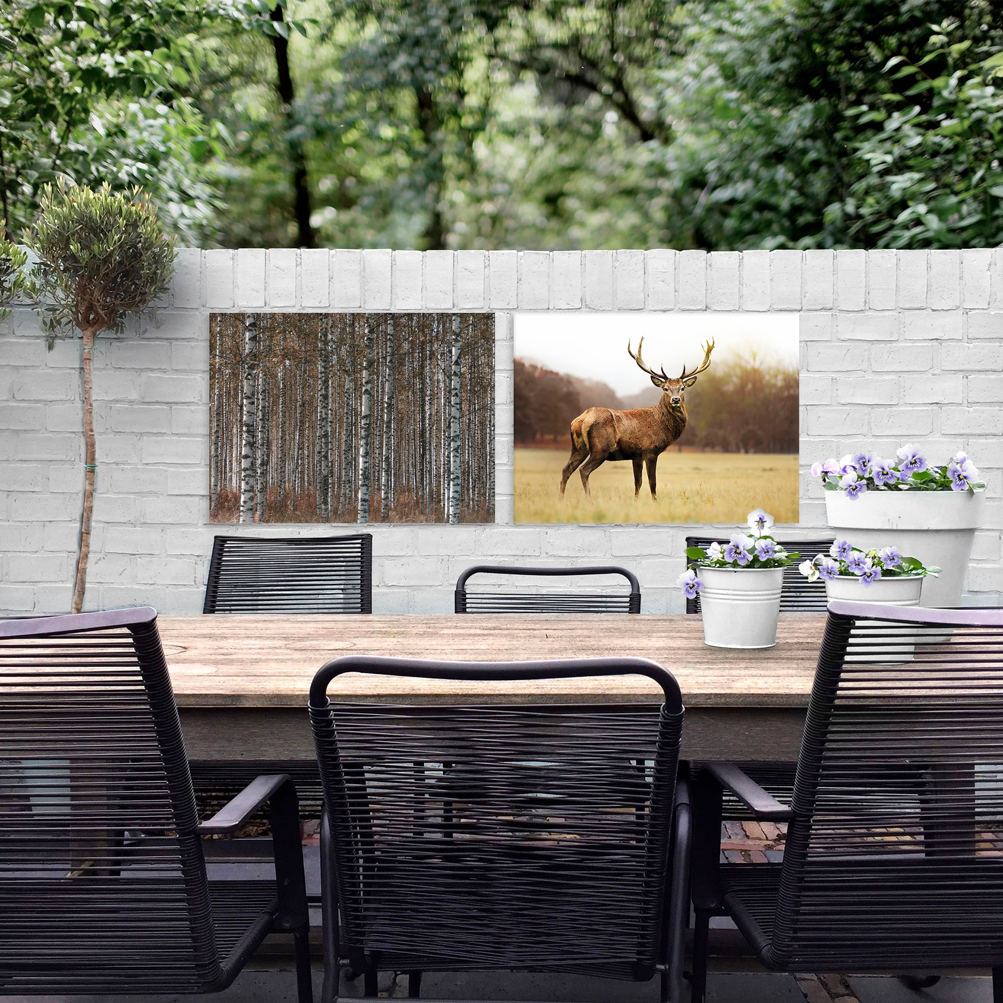 Art for the home Leinwandbild »Outdoor Birkenwald 50x70cm«, (1 St.)