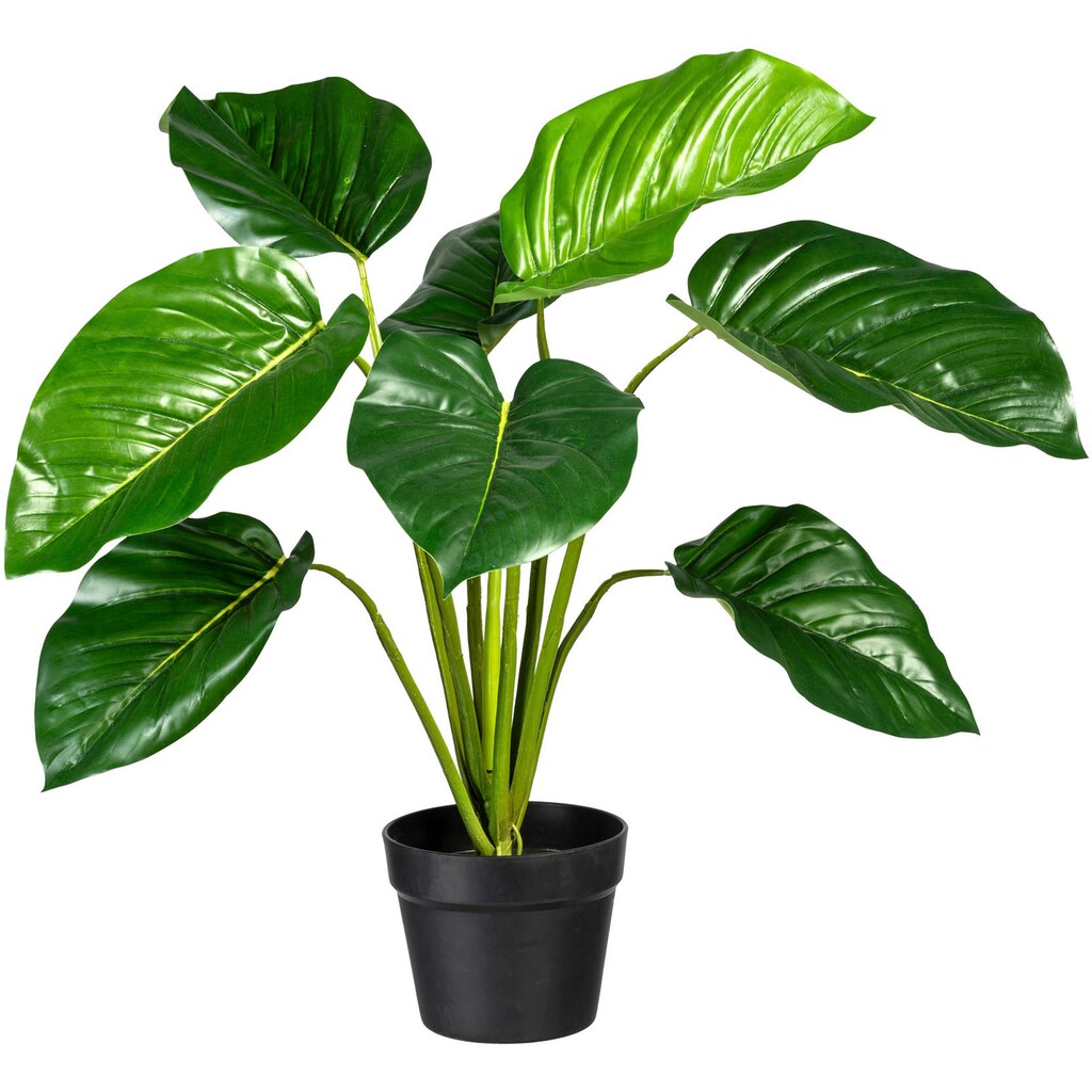 Creativ green Künstliche Zimmerpflanze »Philodendron«