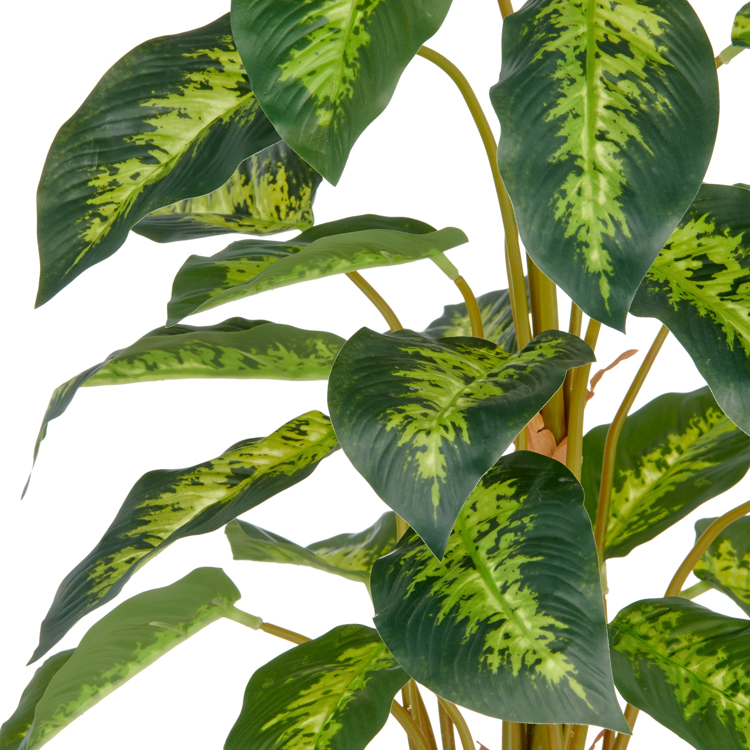 Creativ green Kunstpflanze »Dieffenbachia reeva«, mit schönem Blattwerk