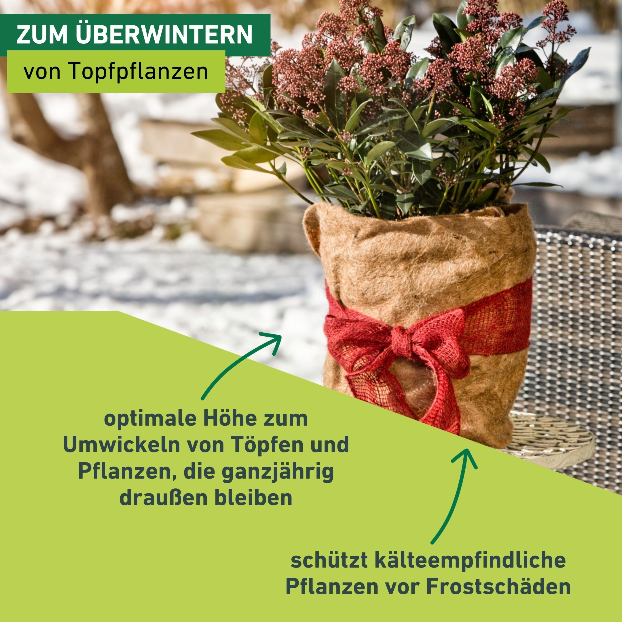 Windhager Winterschutzvlies »Jute, Frostschutz Vliesmatte für Pflanzen« 1 Stk. tlg. Kälteschutz Thermovlies, 0,38 x 1,5 m, natur