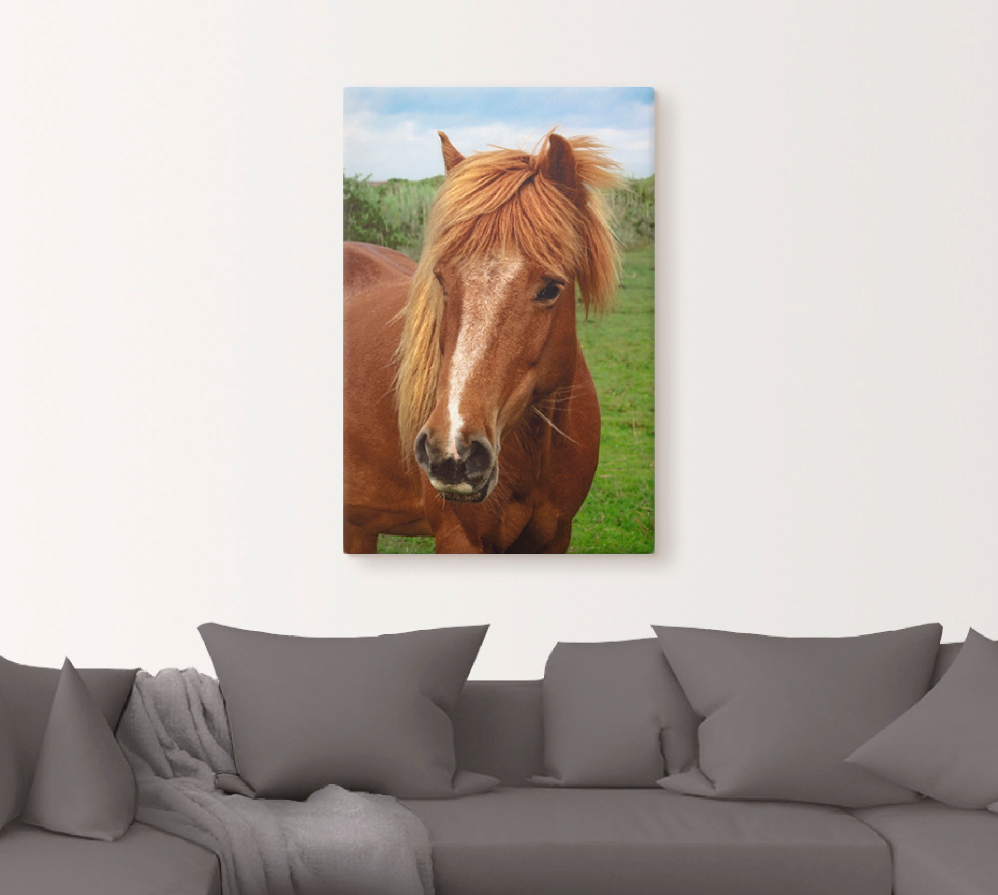Artland Leinwandbild »Hallo Pferd«, Haustiere, (1 St.), auf Keilrahmen gespannt
