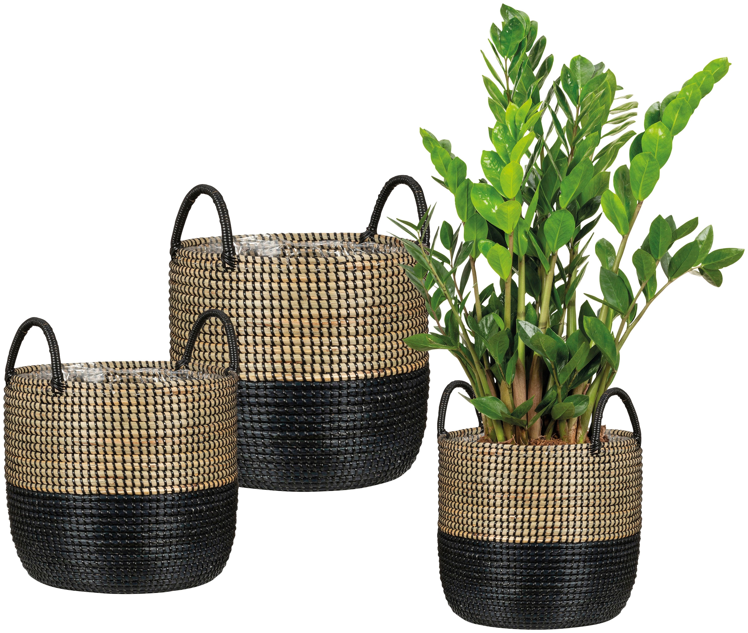 Scheurich Blumentopf »nature black 34/515«