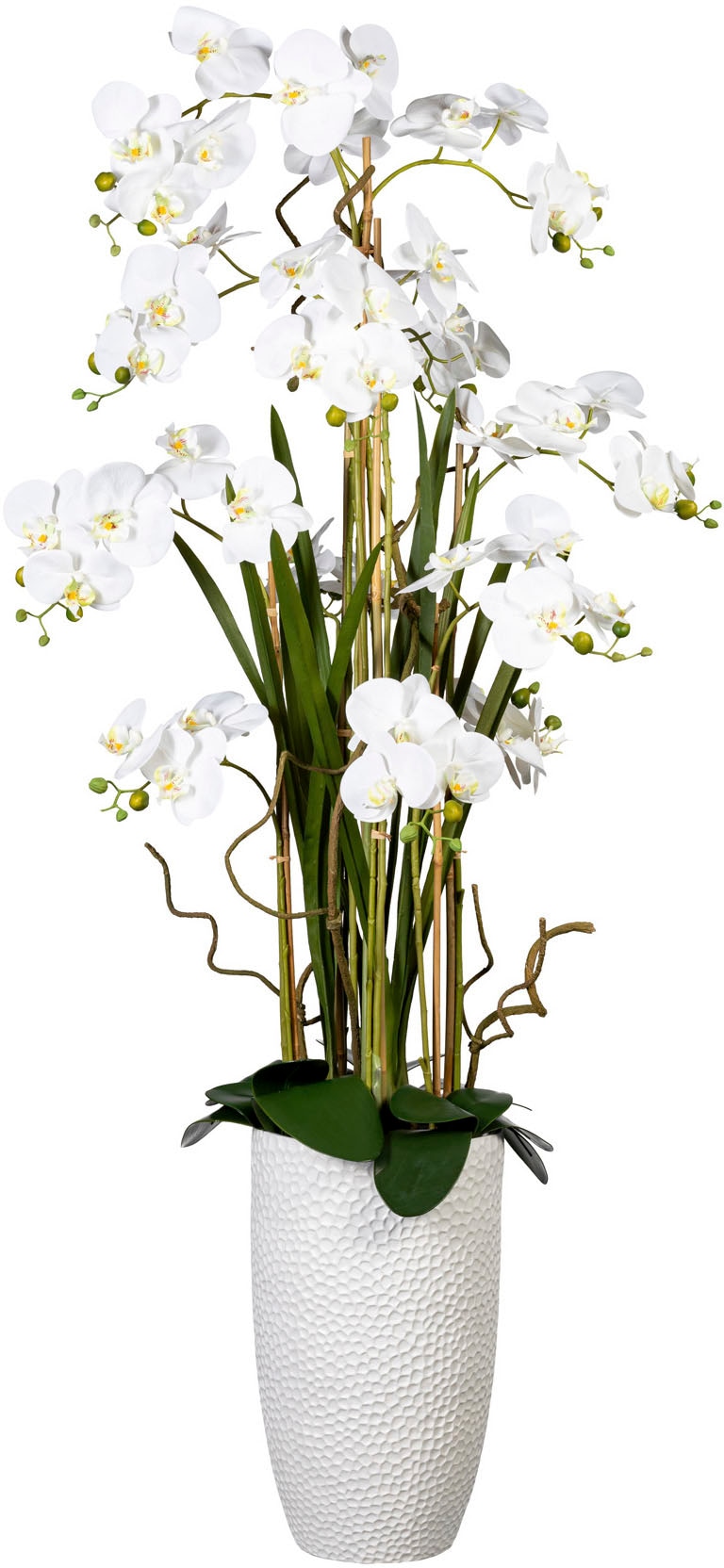 Creativ green Kunstorchidee "Deko-Orchidee Phalaenopsis XXL im Keramiktopf" günstig online kaufen