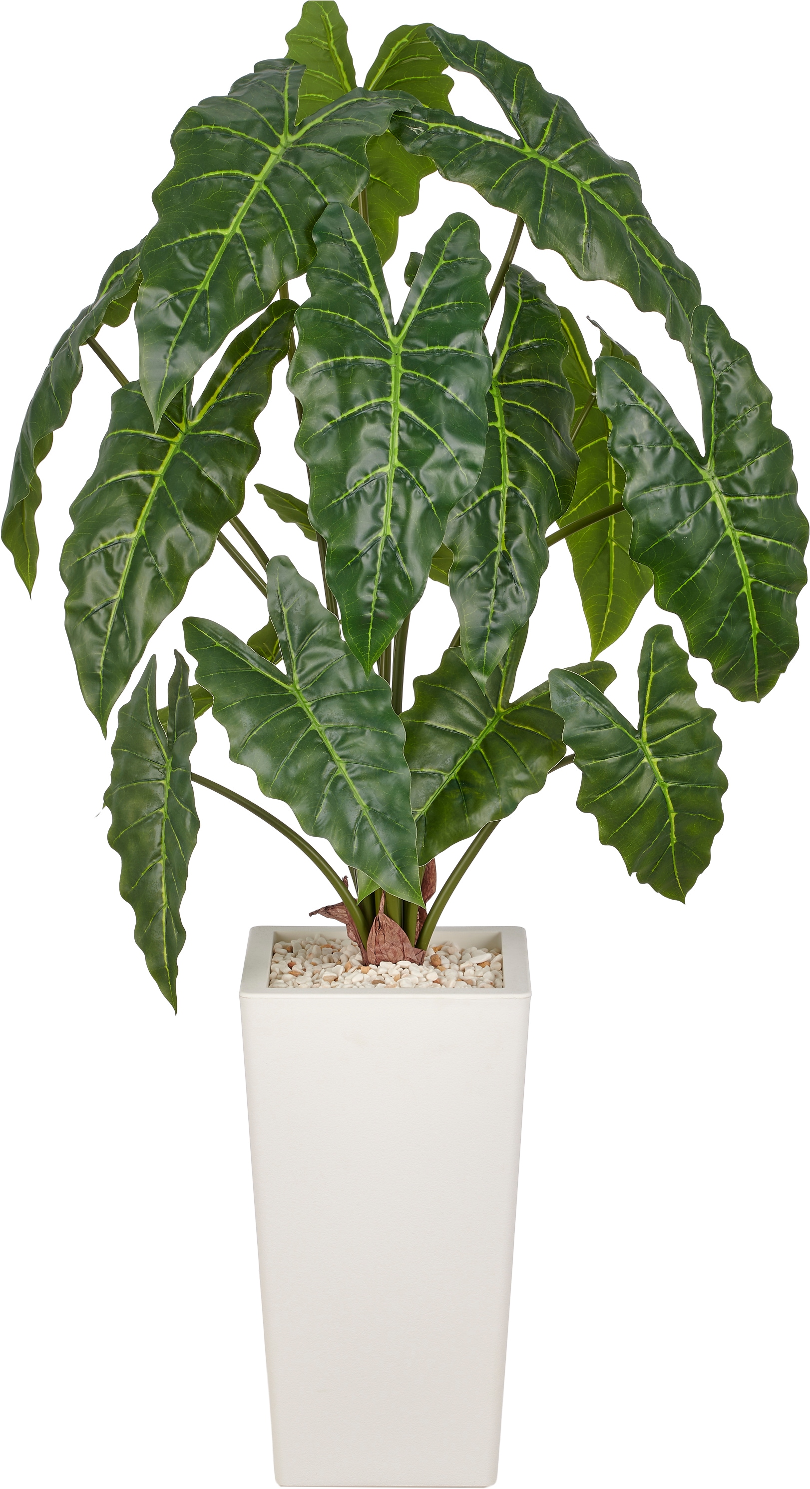 Creativ green Kunstpflanze "Alocasia wentii" mit wunderschöner Blattgestaltung