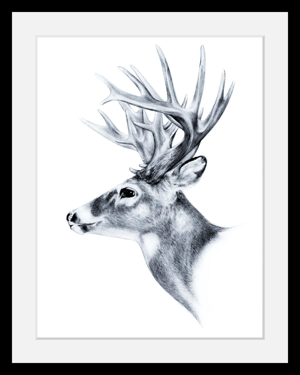 queence Bild "Hirsch" Hirsch Hirschbilder Schwarz-Weiß Tiere Wildtiere HD Premium Poster-Druck inkl. Holzrahmen