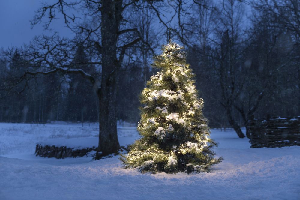 KONSTSMIDE LED-Lichterkette »Weihnachtsdeko aussen«, mit | Memoryfunktion, Steuergerät, Funktionen, bestellen BAUR weiße 1536 warm 8 Dioden