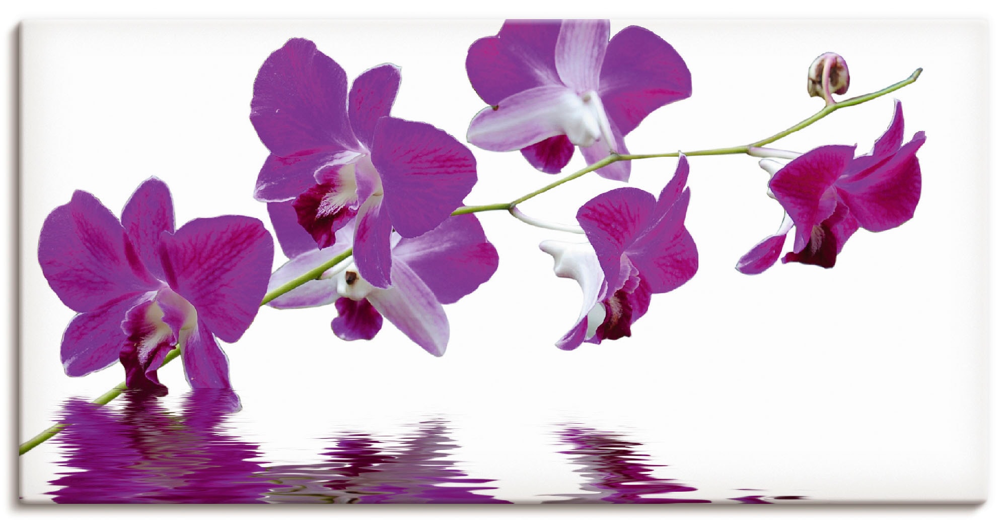 Artland Leinwandbild "Violette Orchideen" Blumen 1 Stk. tlg. auf Holzrahmen gespannt