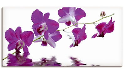 Leinwandbild »Violette Orchideen«, Blumen, (1 St.)