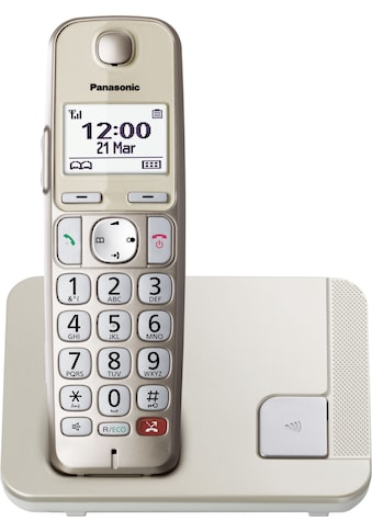 Panasonic DECT-Telefon »KX-TGE250GN« (Mobilteile...