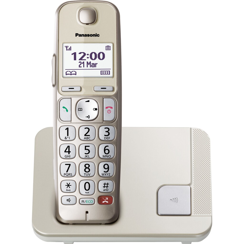 Panasonic DECT-Telefon »KX-TGE250GN«, (Mobilteile: 1)