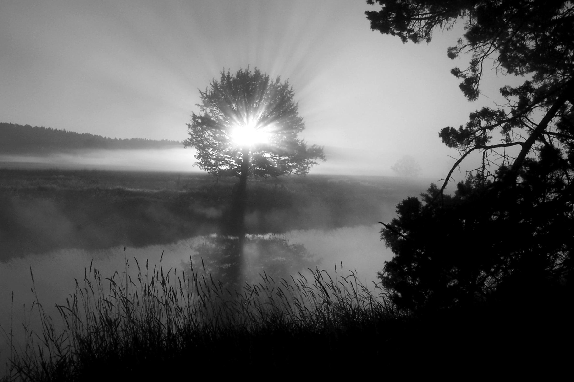 Papermoon Fototapete "Landschaft schwarz & weiß" günstig online kaufen