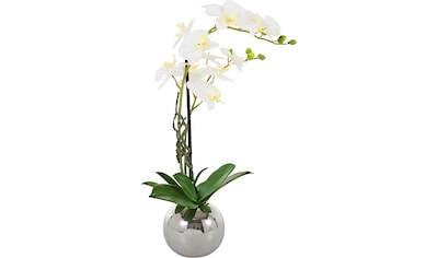 Kunstorchidee »Cosidena«, Kunstpflanze, im Topf aus Keramik