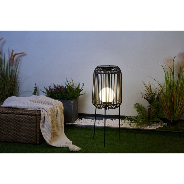 Pauleen LED Laterne »Sunshine Coziness«, 1 flammig-flammig, Solarbetrieben,  IP44 bestellen | BAUR