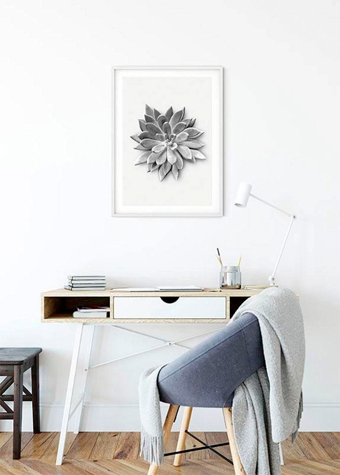 Komar Bild »Succulent Agave«, Pflanzen-Blätter, (1 St.), Wandbild zur Dekoration - ohne Rahmen