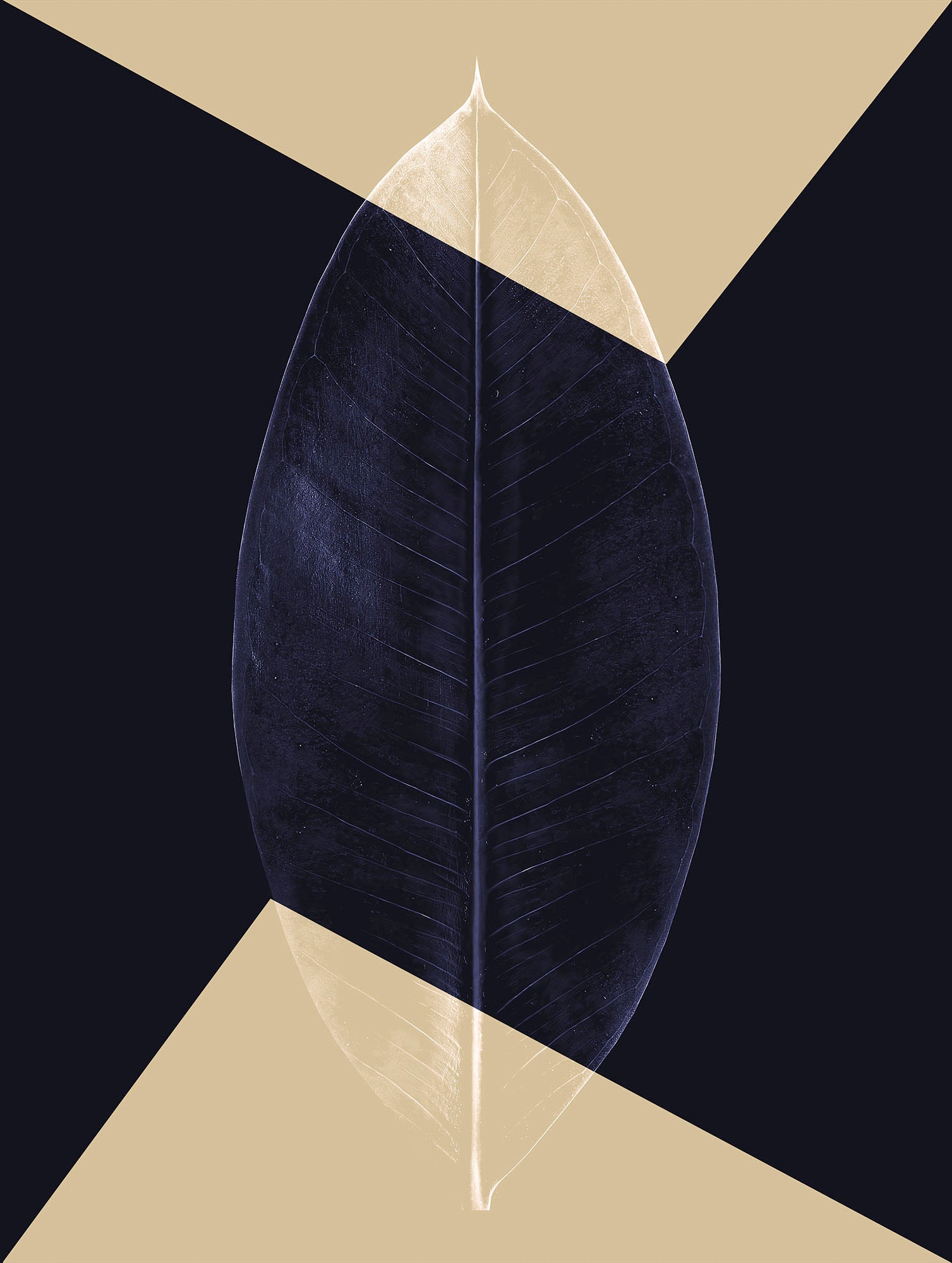 Komar Bild "Lotus Theatre" Natur 1 Stk. tlg. Wandbild zur Dekoration - ohne günstig online kaufen