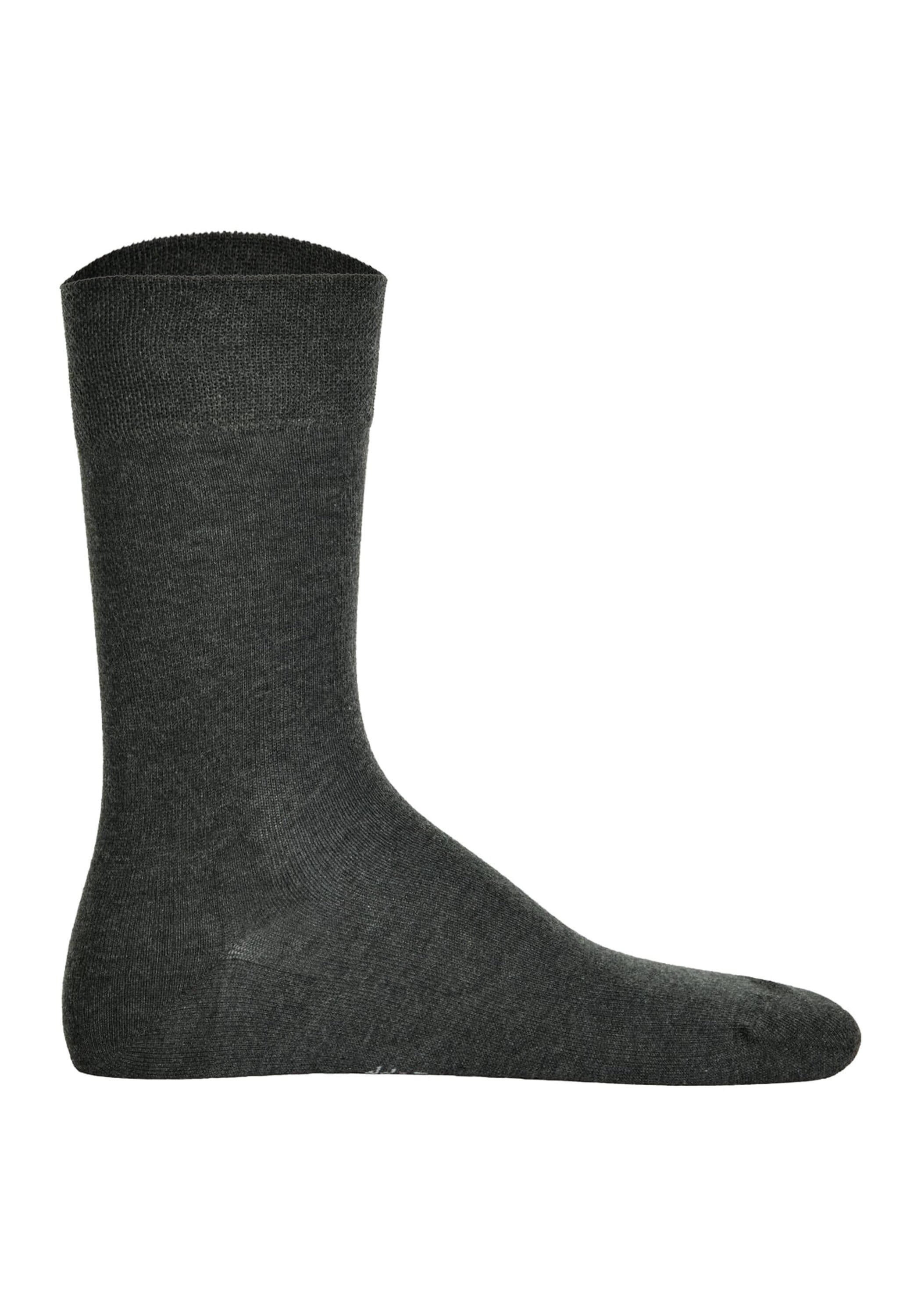 Hudson Kurzsocken "Socken 1er Pack" günstig online kaufen
