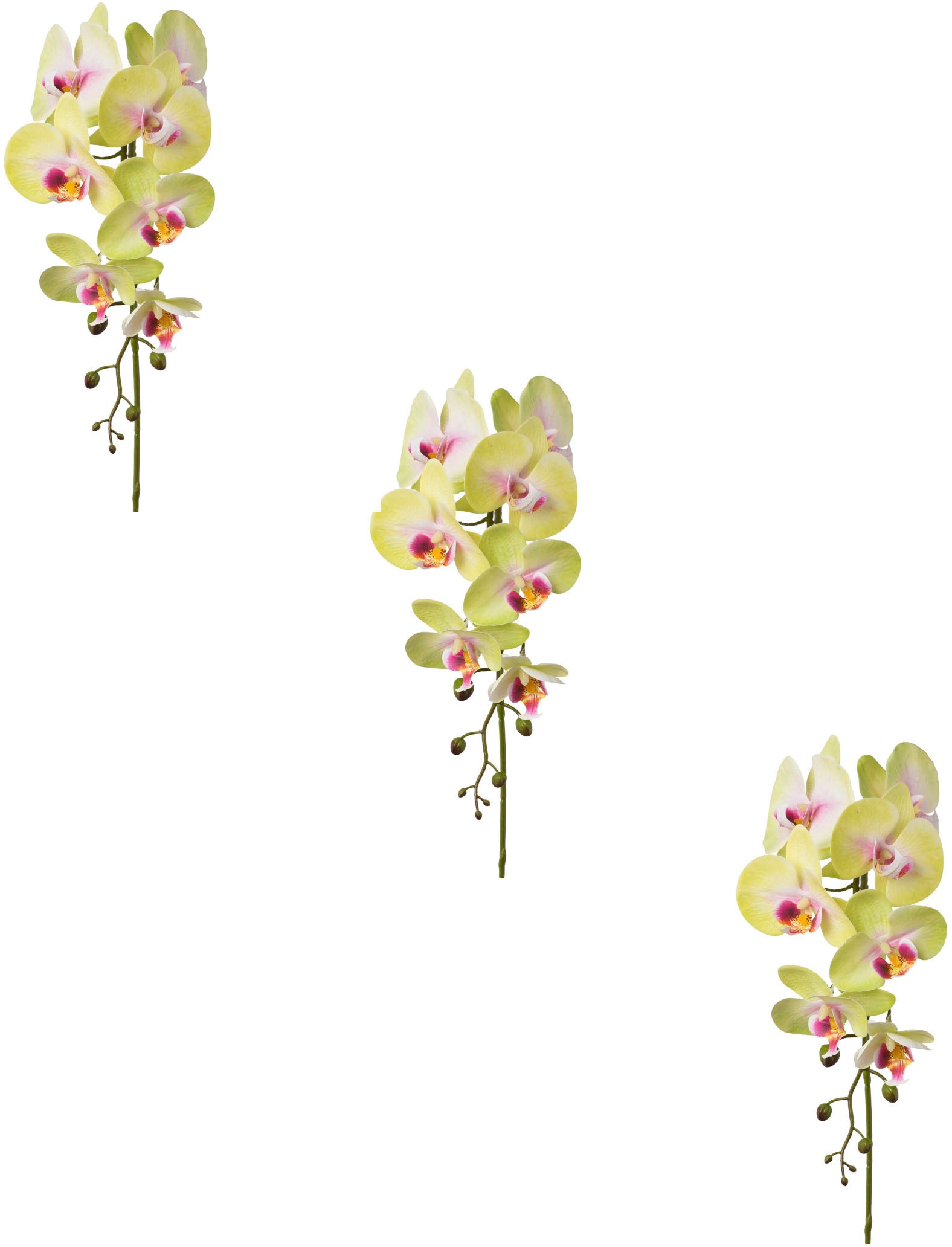 Creativ green Kunstblume "Orchidee Phalaenopsis"