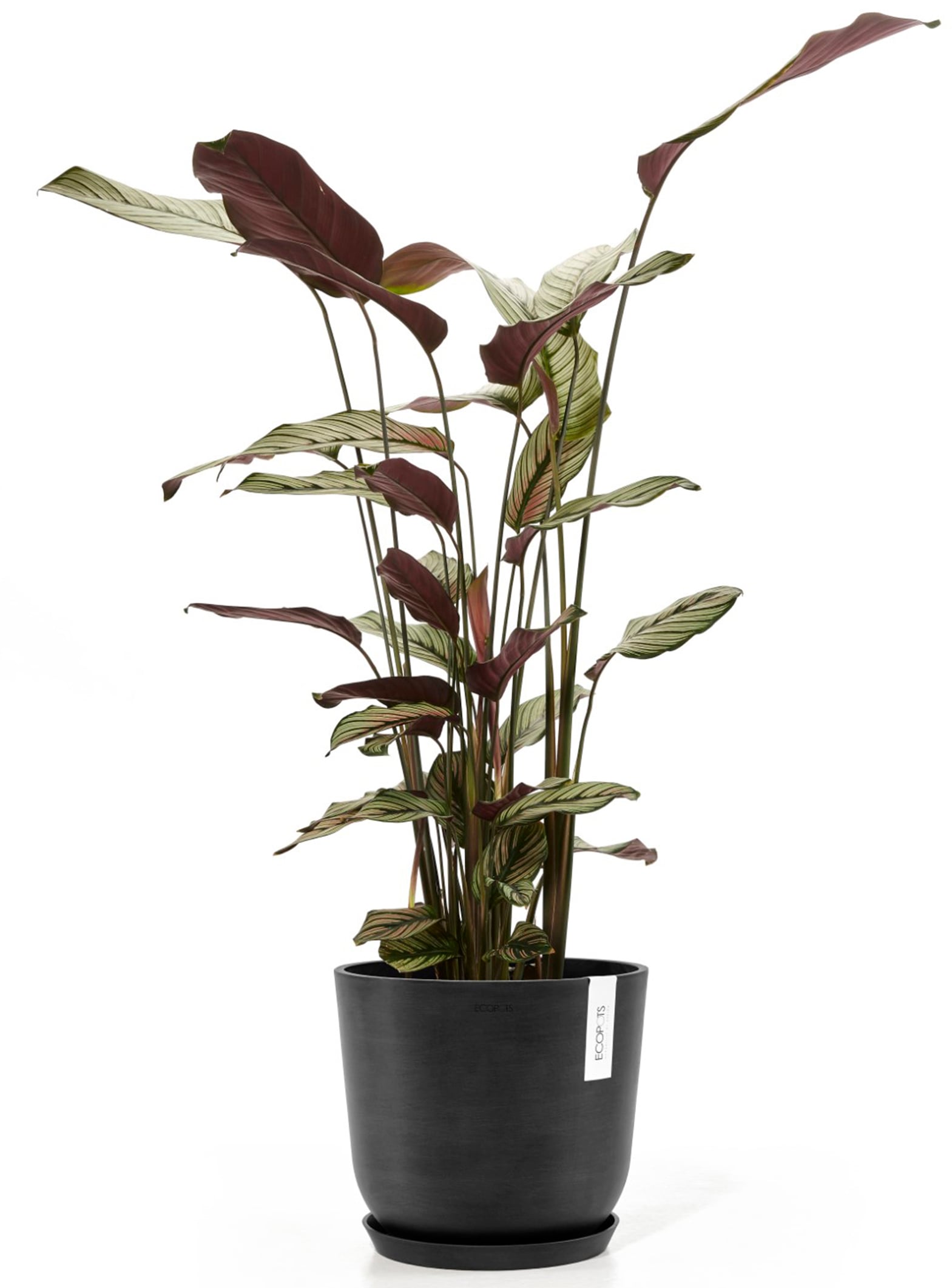 ECOPOTS Blumentopf »Oslo 25 Dunkelgrau«, für innen und außen: frostsicher, bruchsicher und lichtbeständig