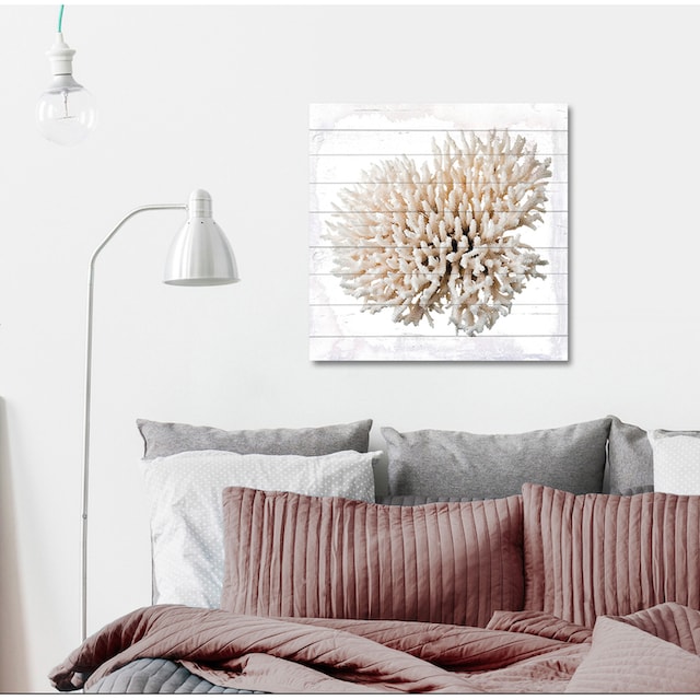 queence Holzbild »Weiße Koralle«, 50x50 cm kaufen | BAUR
