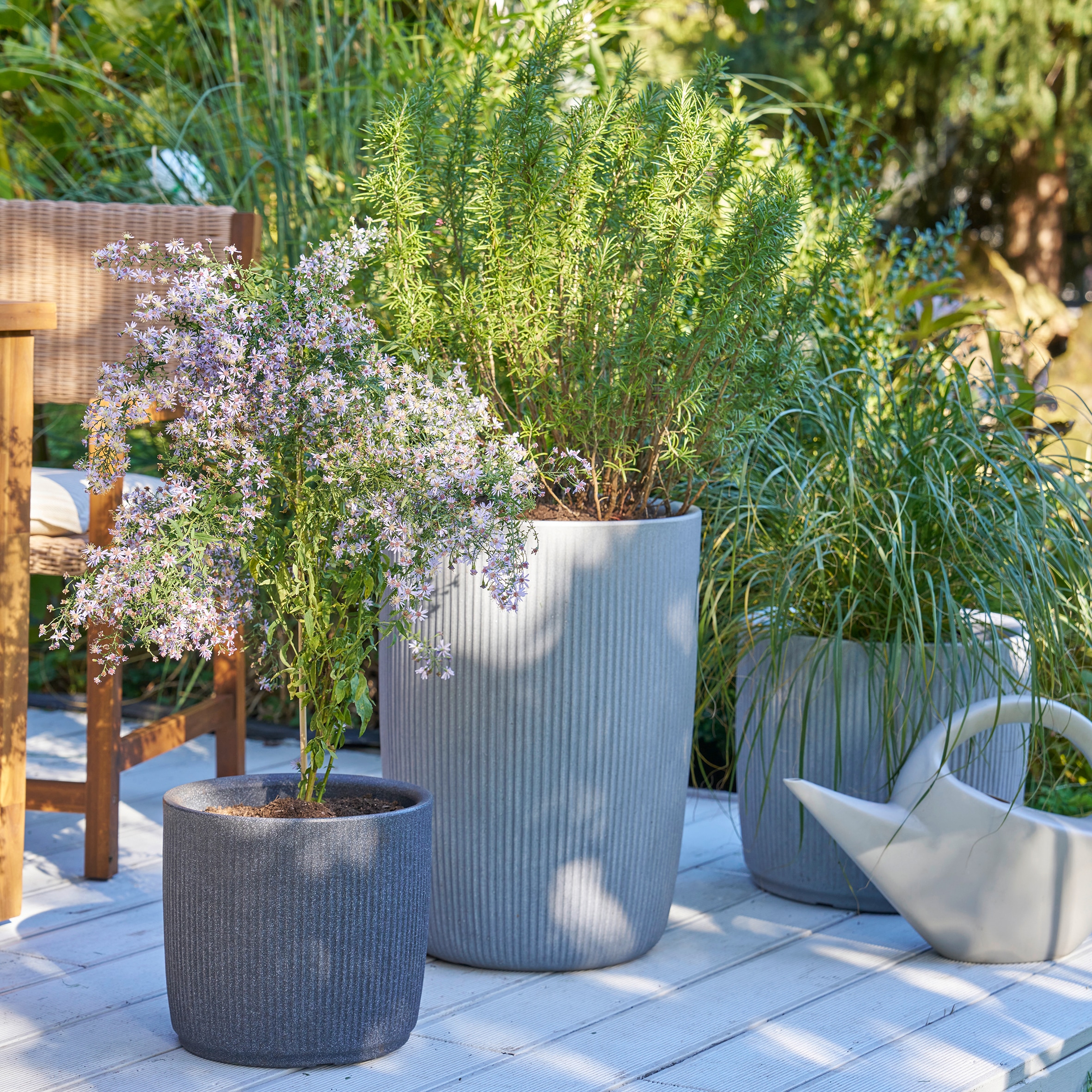 Scheurich Übertopf »40/260 LINETTO HIGH« Hochgefäß/Pflanzgefäß aus Kunststoff, ØxH: 28,5x39,9 cm