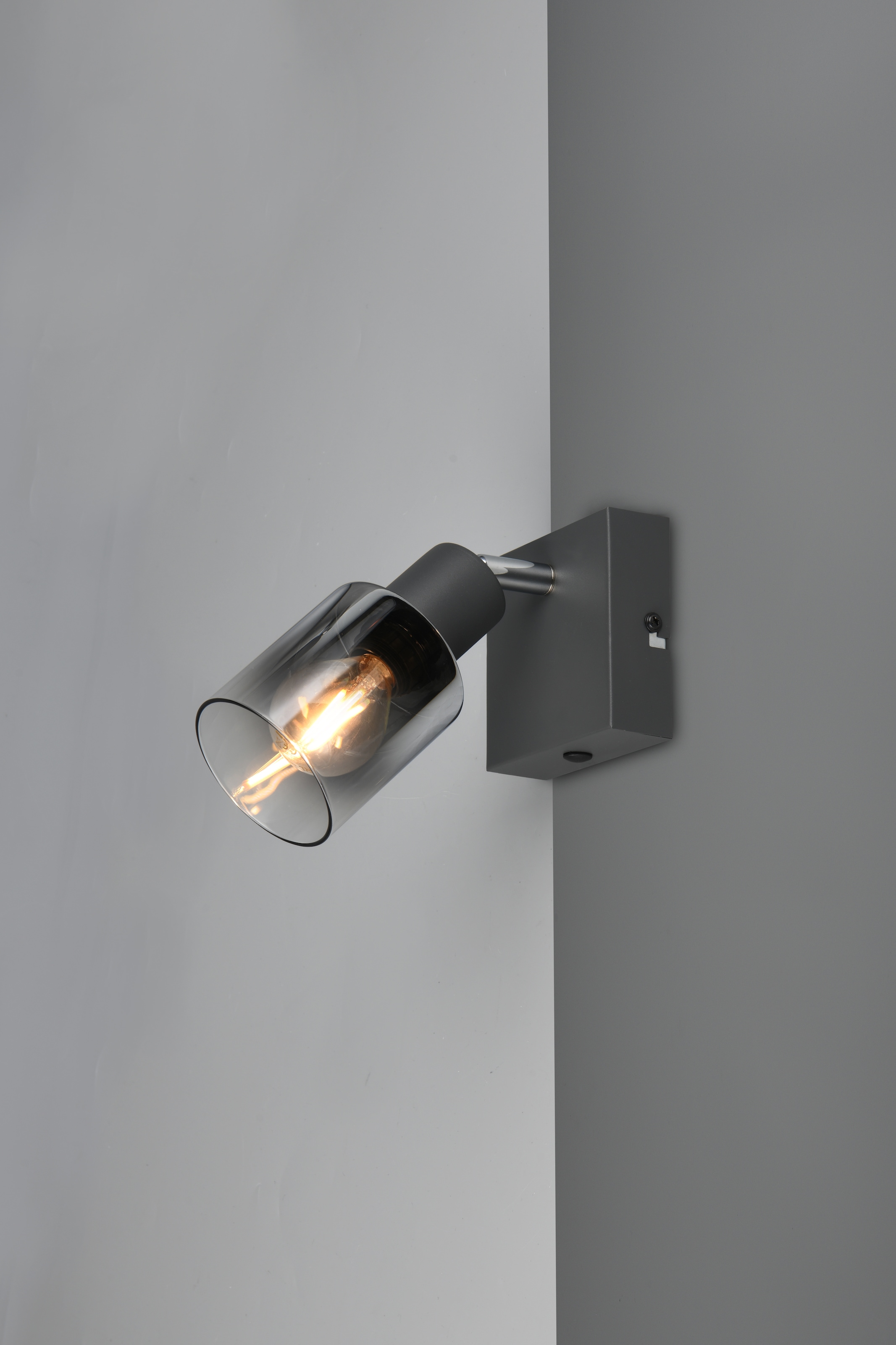 REALITY Leuchten Deckenstrahler »CADIZ, Spot 1-flammig, exkl 1xE14 max 10W, Glas anthrazit, verspiegelt«, 1 flammig, Leuchtmittel E14 | Leuchtmittel wechselbar, verstellbarer Spot als Wandstrahler oder Deckenstrahler mit Glasschirm