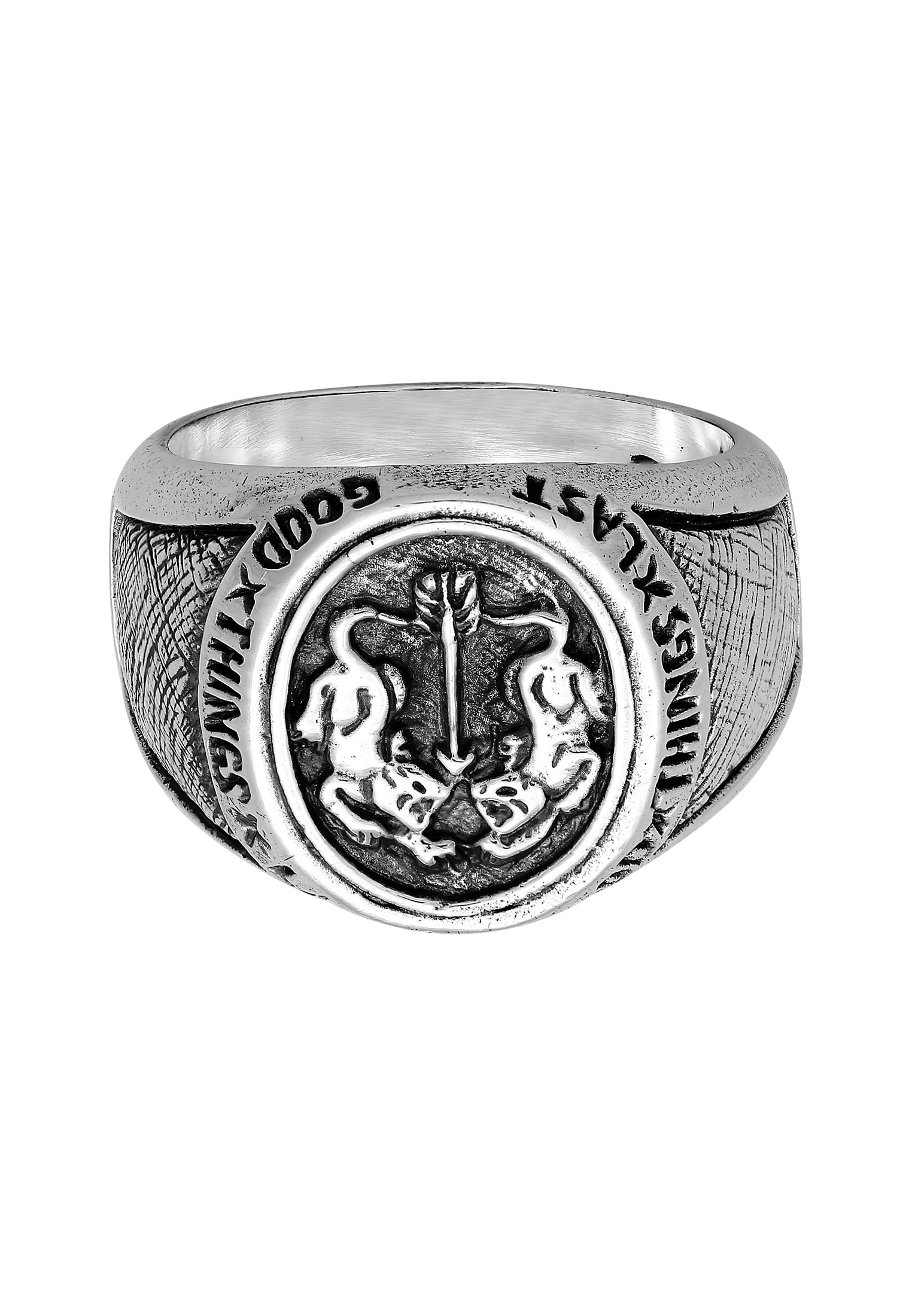 HAZE & GLORY Siegelring »Ring Siegelring - Twin Tiger 925 Silber«