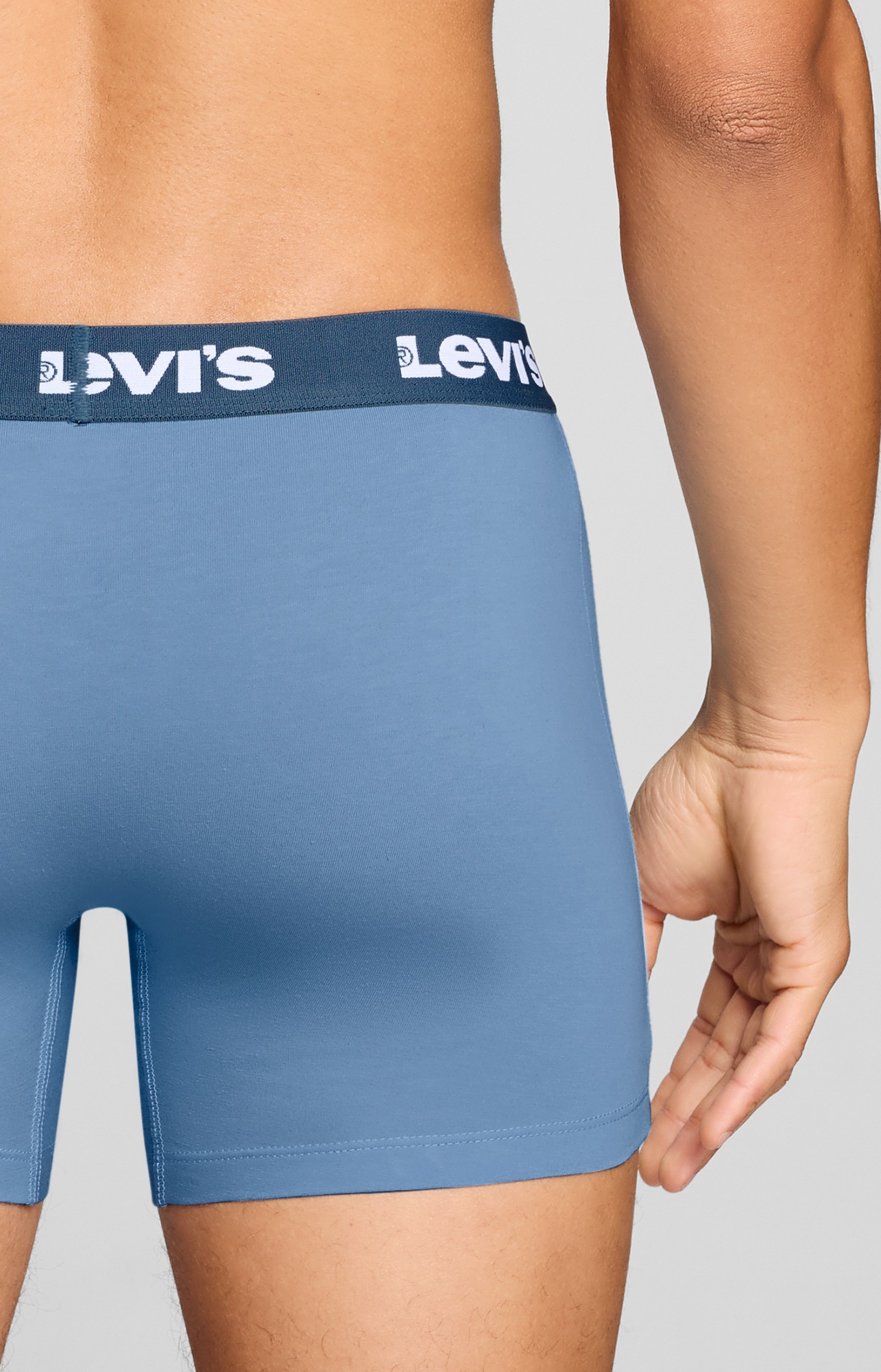 Levi's® Boxer »LEVIS MEN REPEAT LOGO BOXER BRIEF« 2er Pack,  ohne Eingriff, Logobund, elastisch