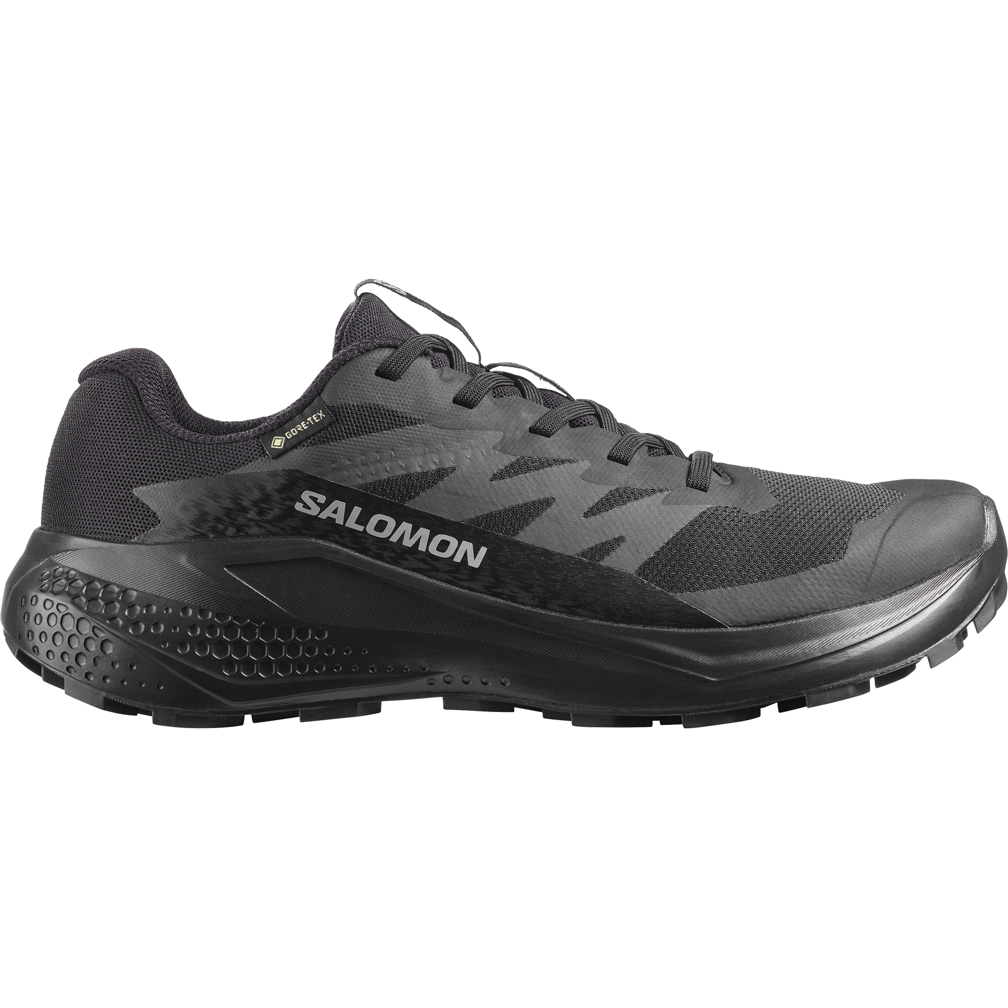 Salomon Trailrunningschuh "ALPHAGLIDE GORE-TEX W" wasserdicht