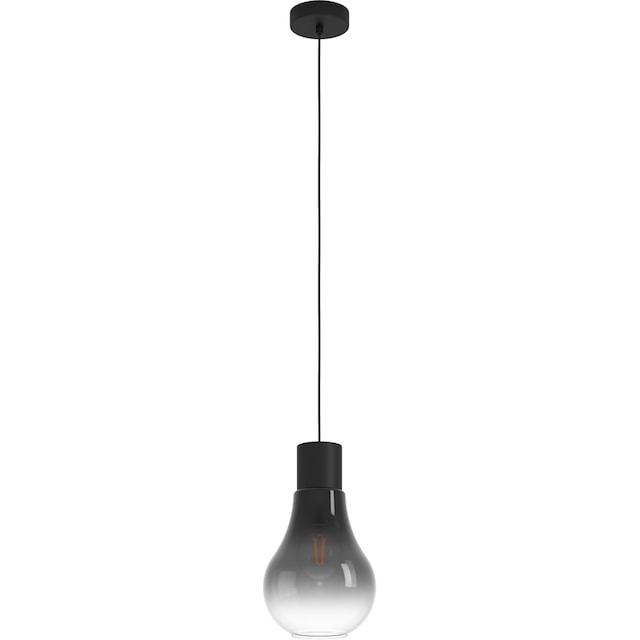 EGLO Hängeleuchte »CHASELY«, Hängeleuchte in schwarz aus Stahl - exkl. E27  - 40W | BAUR