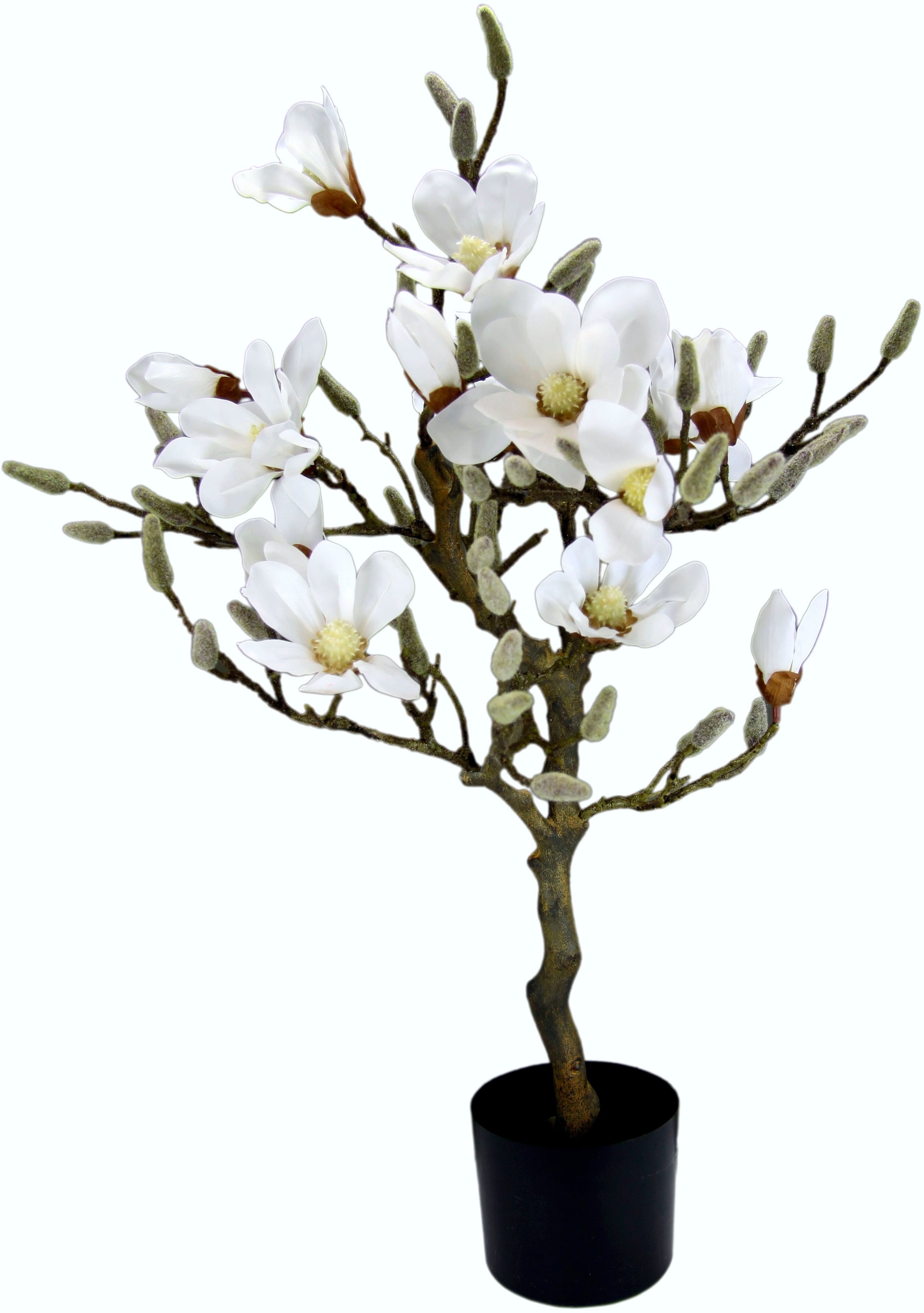 Erstaunlicher Preis! I.GE.A. Kunstbaum »Magnolienbaum«, im Kunststofftopf BAUR | kaufen