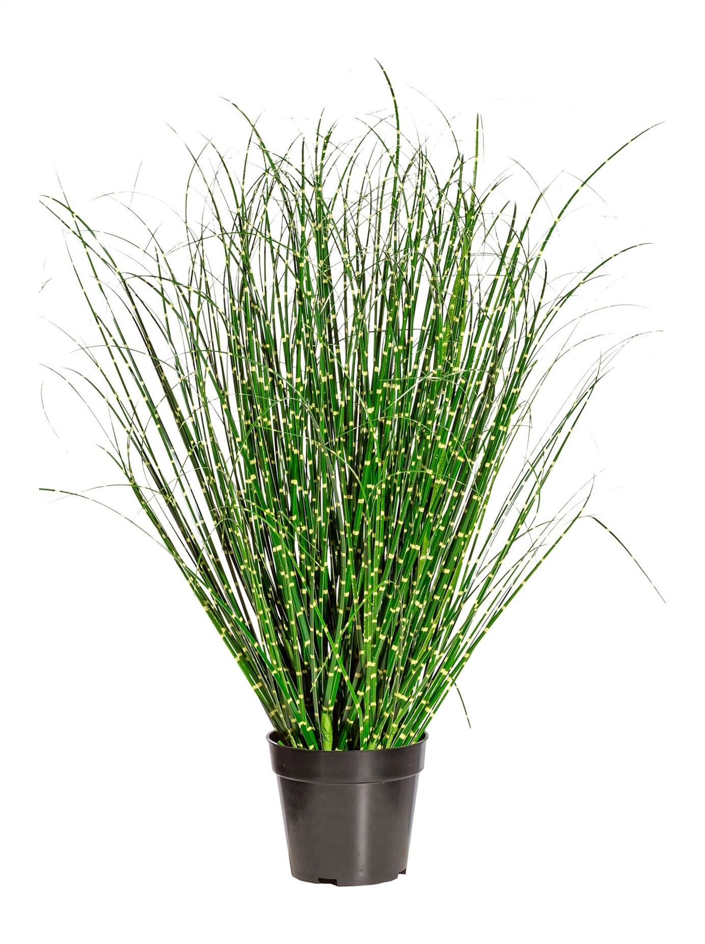 Gasper Kunstgras, (1 St.) kaufen