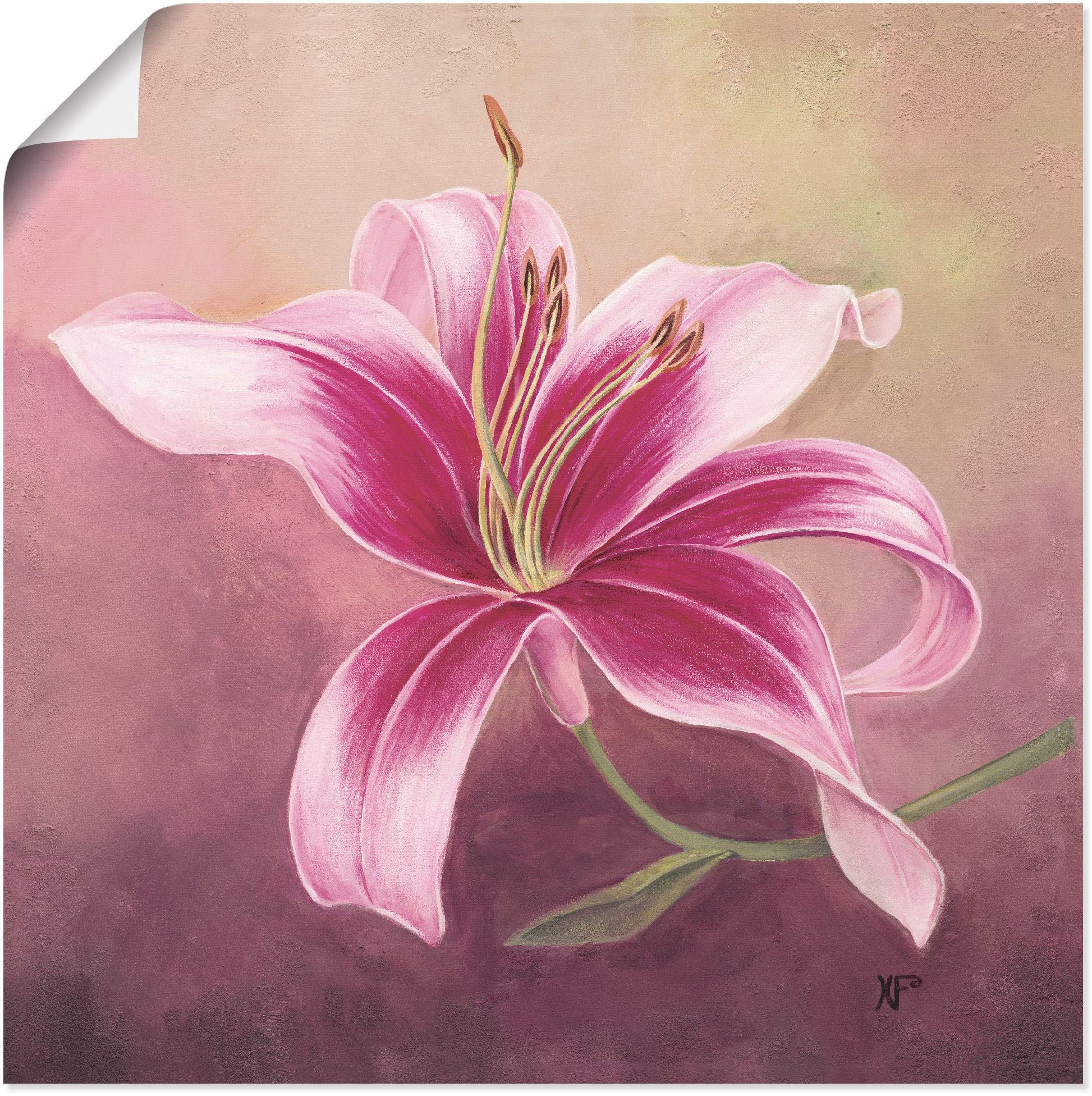 Artland Wandbild "Frühe Lilie" Blumen 1 Stk. tlg. als Leinwandbild, Poster in verschied. Größen