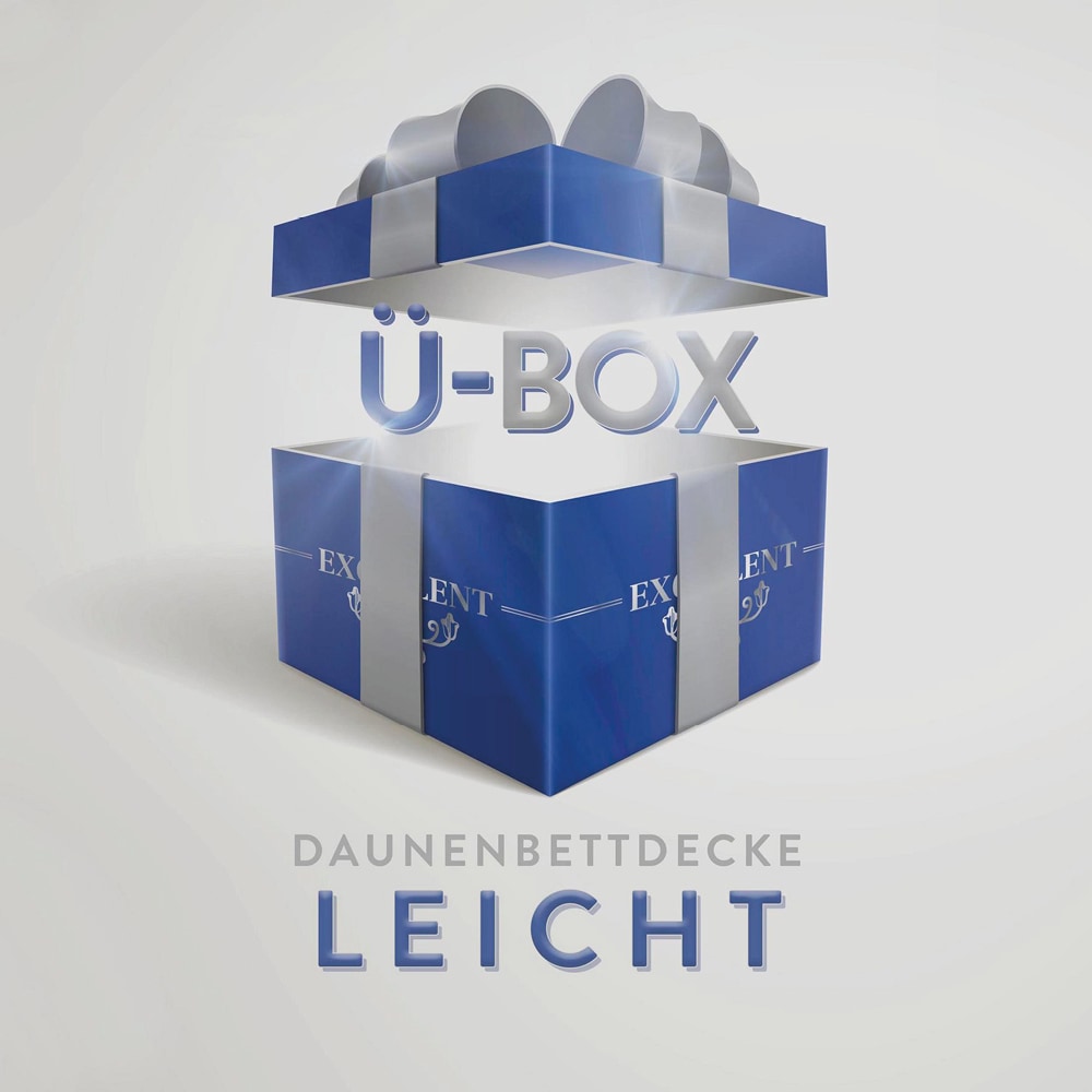 Excellent Daunenbettdecke »Überraschungsbox«, leicht, Füllung 90% Daunen, 10% Federn, Bezug Baumwolle, (1 St.), absoluter Sonderpreis, wegen Lagerräumung, Solange der Vorrat reicht
