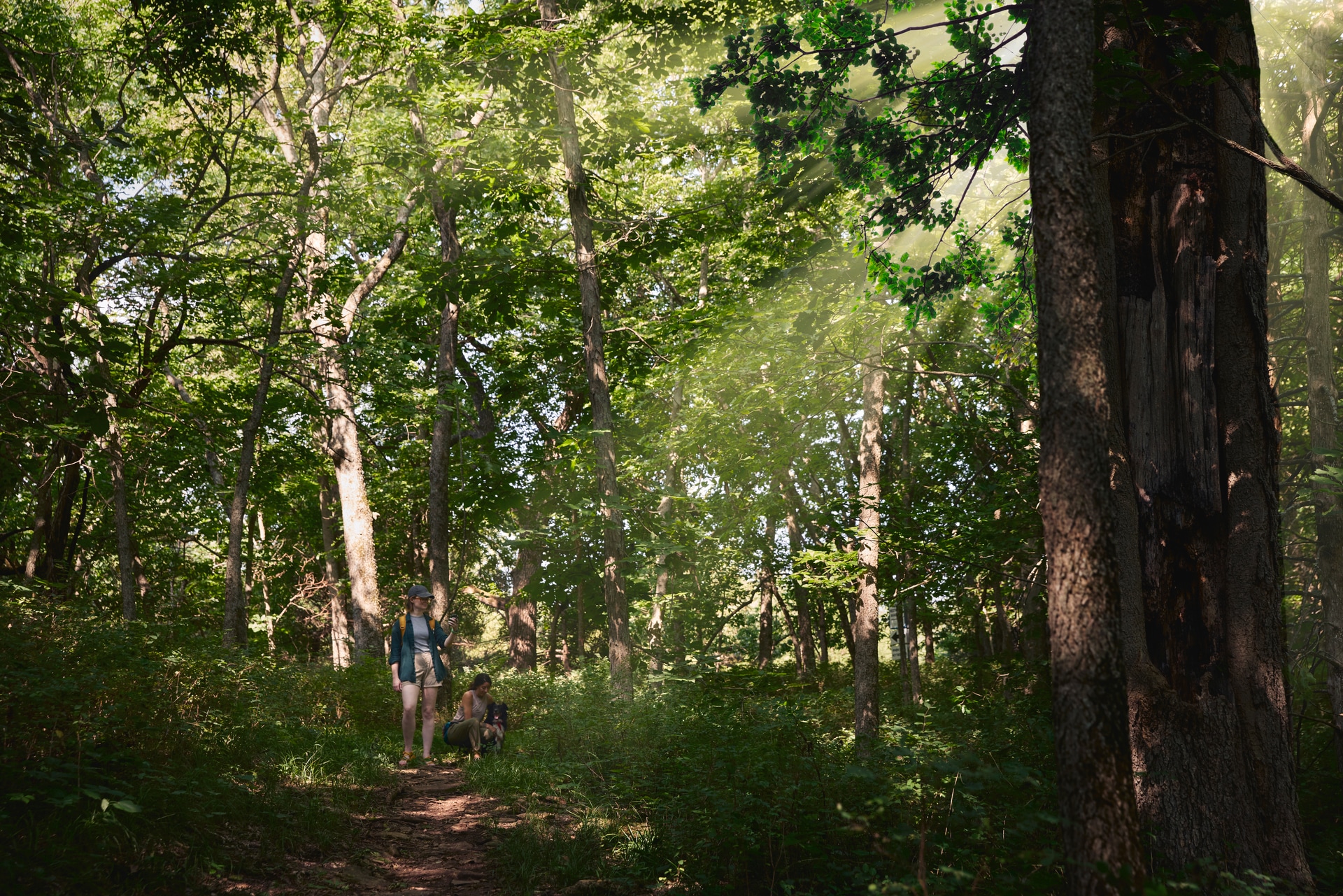 Garmin Wander-Navigationsgerät »eTrex Solar« ( )