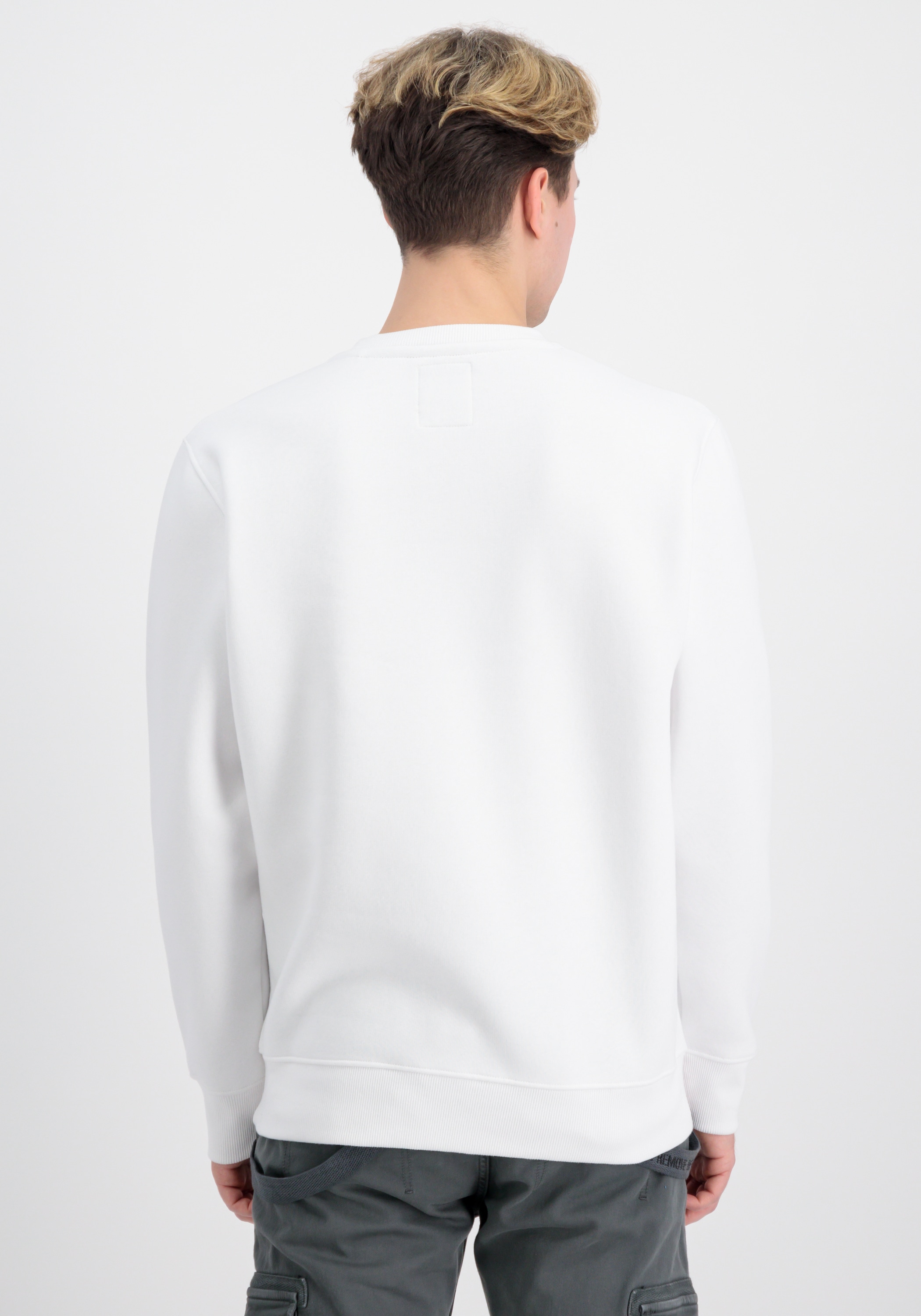 Alpha Industries Sweater "Basic Sweatshirt Rubber ML" günstig online kaufen