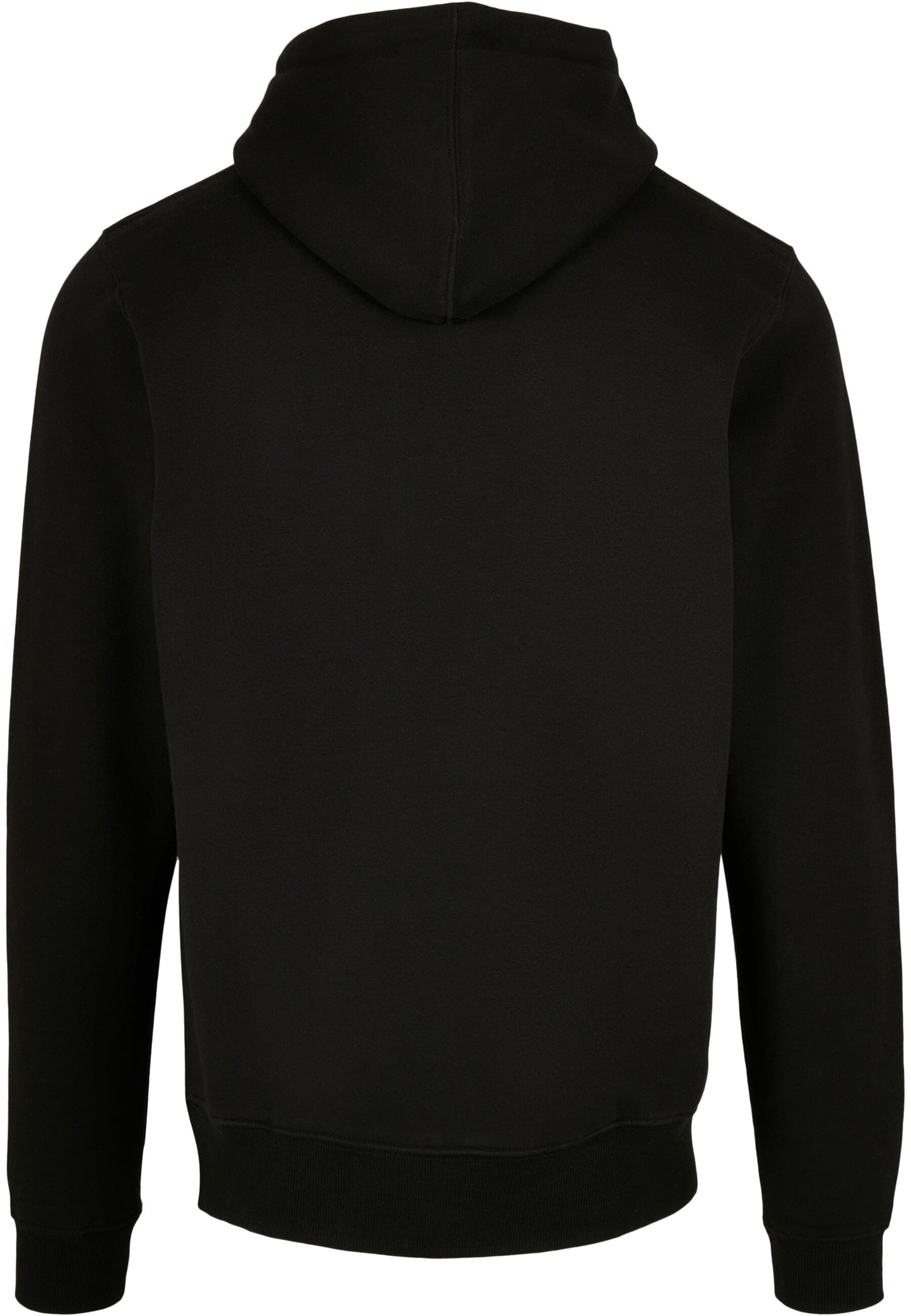 CAYLER & SONS Kapuzensweatshirt »Cayler & Sons Herren C&S Plain Hoody«, (1 tlg.)